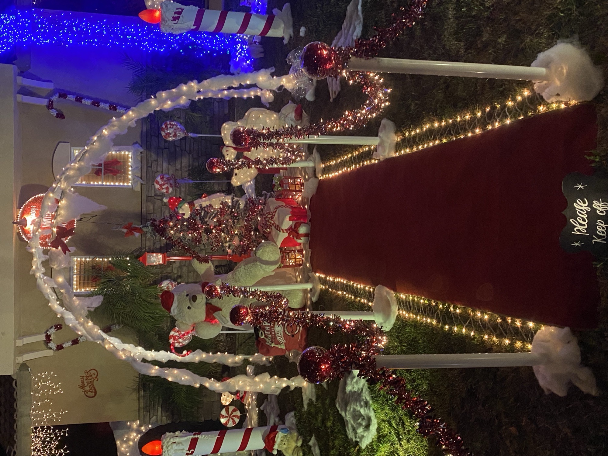 Brian & Stacey’s Winter Wonderland, Christmas lights in Hemet, CA (photo 4)