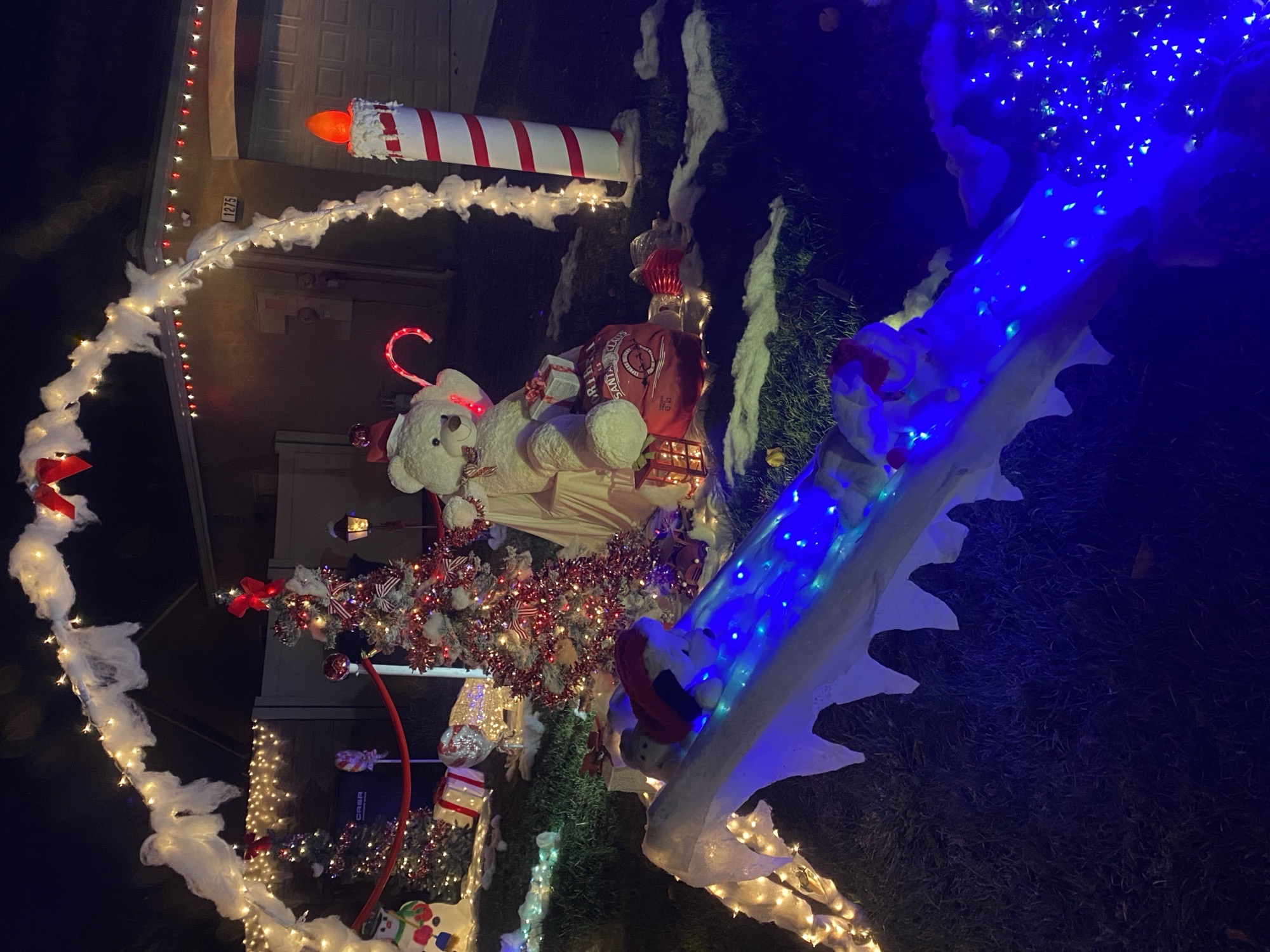 Brian & Stacey’s Winter Wonderland, Christmas lights in Hemet, CA (photo 5)