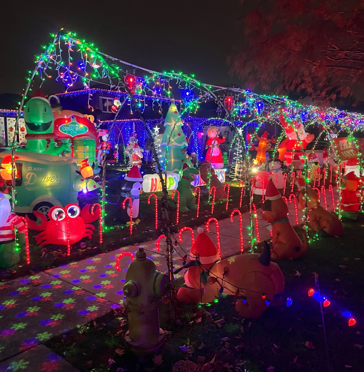 Archways Of Surrey, Christmas lights in Tinley Park, IL (photo 1)