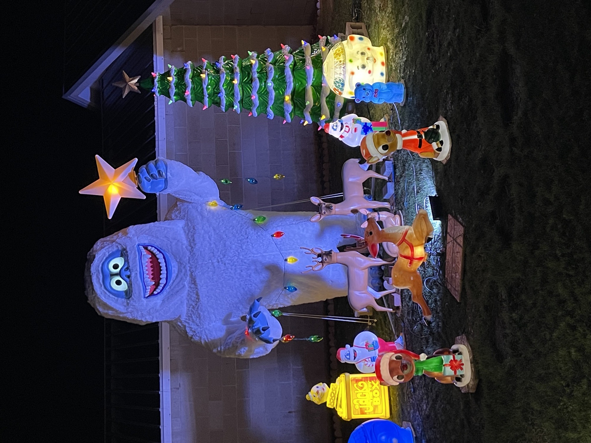 Buterbaugh Family Christmas Display, Christmas lights in Home, PA (photo 1)