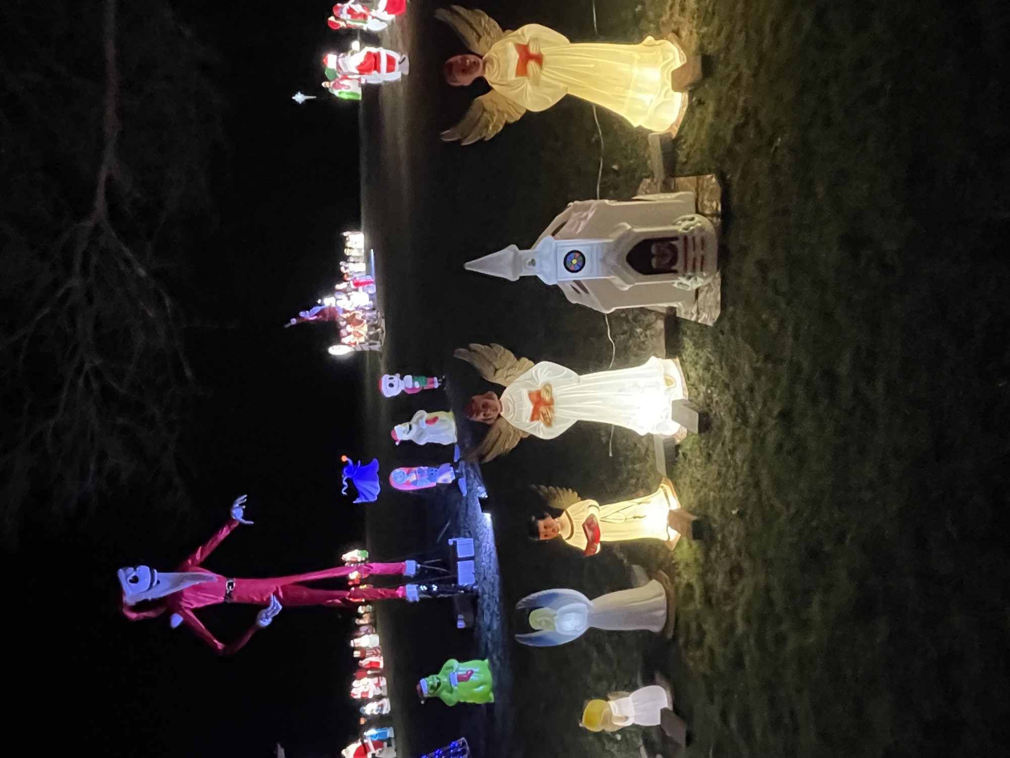 Buterbaugh Family Christmas Display, Christmas lights in Home, PA (photo 3)