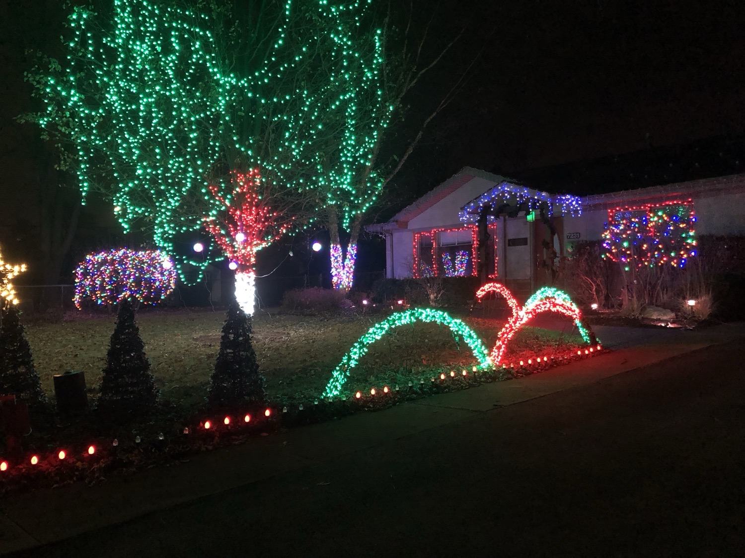The Light Show, Christmas lights in Tinley Park, IL (photo 1)
