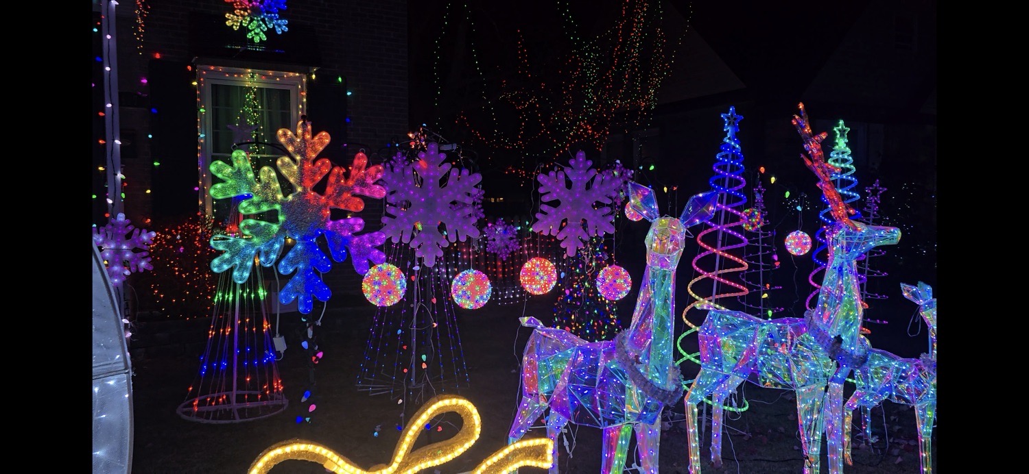 Psychedelics Light Show, Christmas lights in Westchester, IL (photo 1)