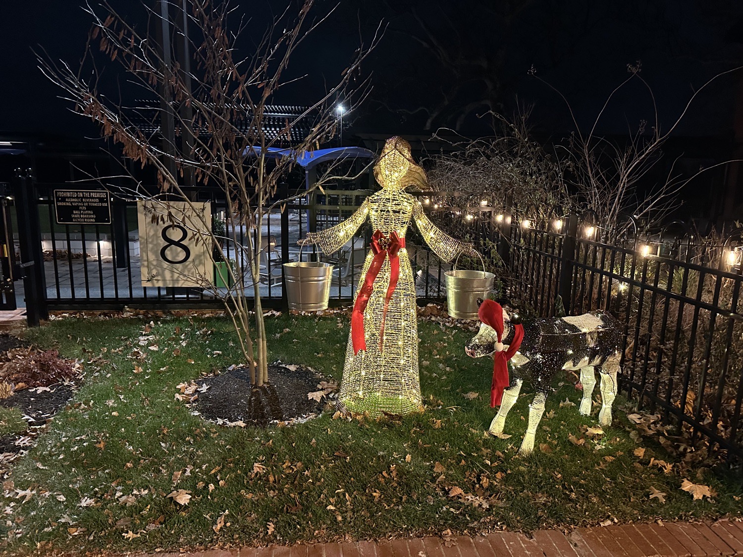 12 Days Of Christmas, Christmas lights in Bristol, PA (photo 1)