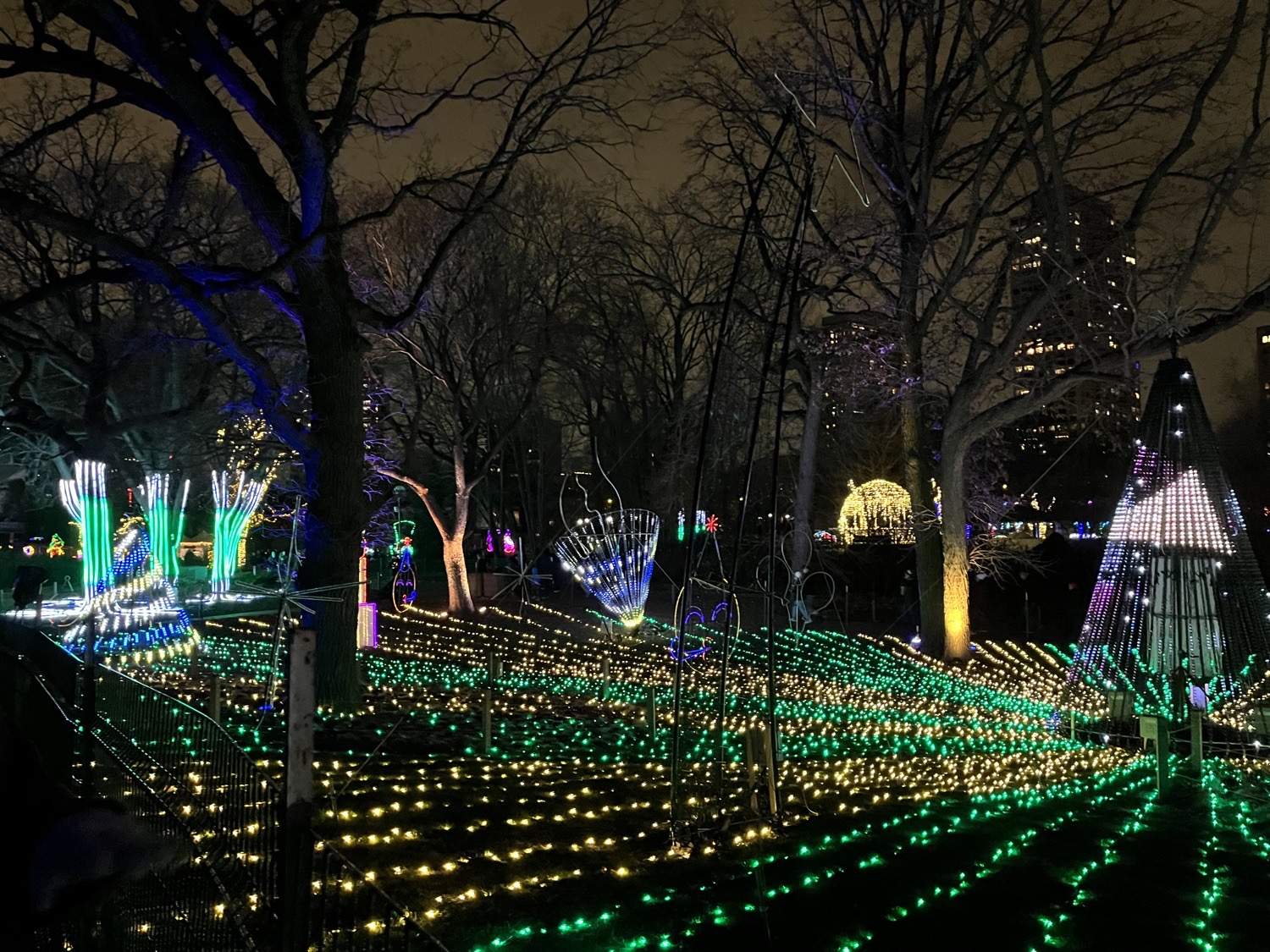 Lincoln Park Zoo Lights, Christmas lights in Chicago, IL (photo 2)