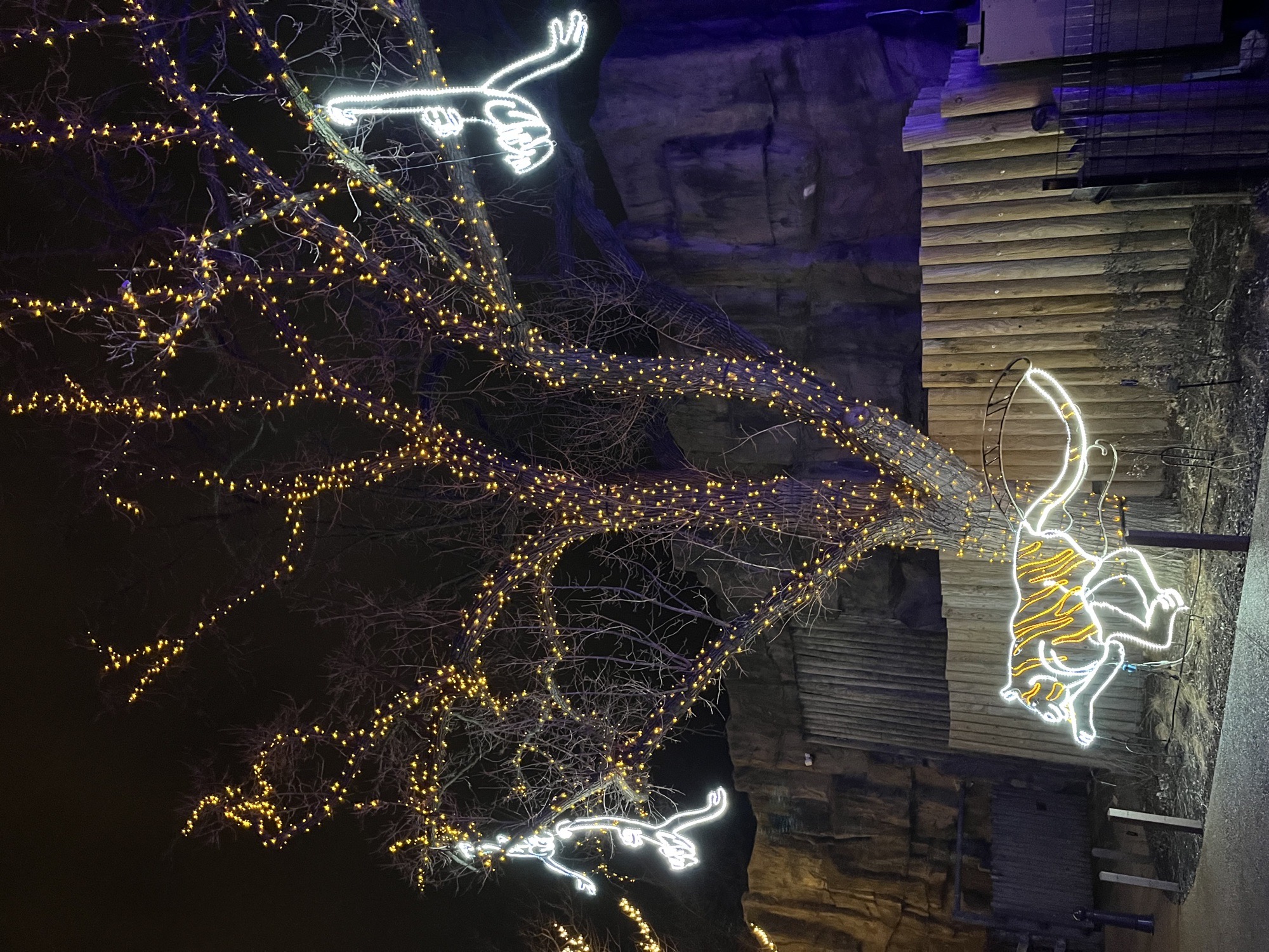 Lincoln Park Zoo Lights, Christmas lights in Chicago, IL (photo 3)