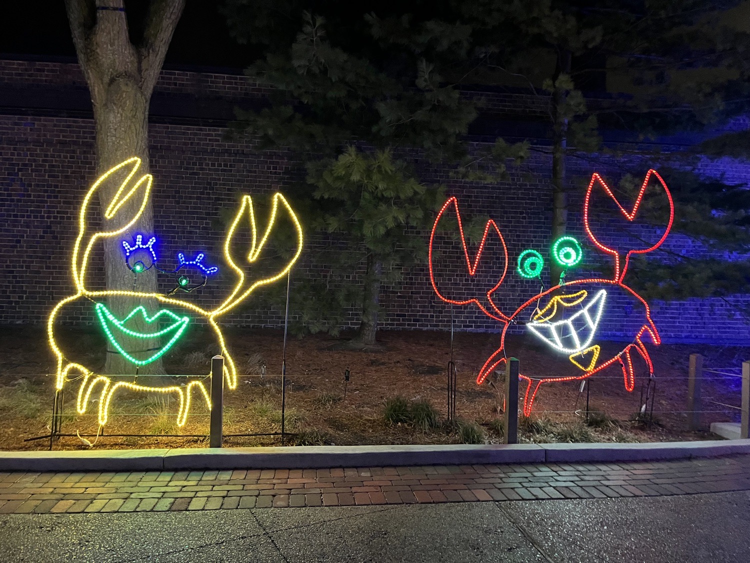 Lincoln Park Zoo Lights, Christmas lights in Chicago, IL (photo 4)