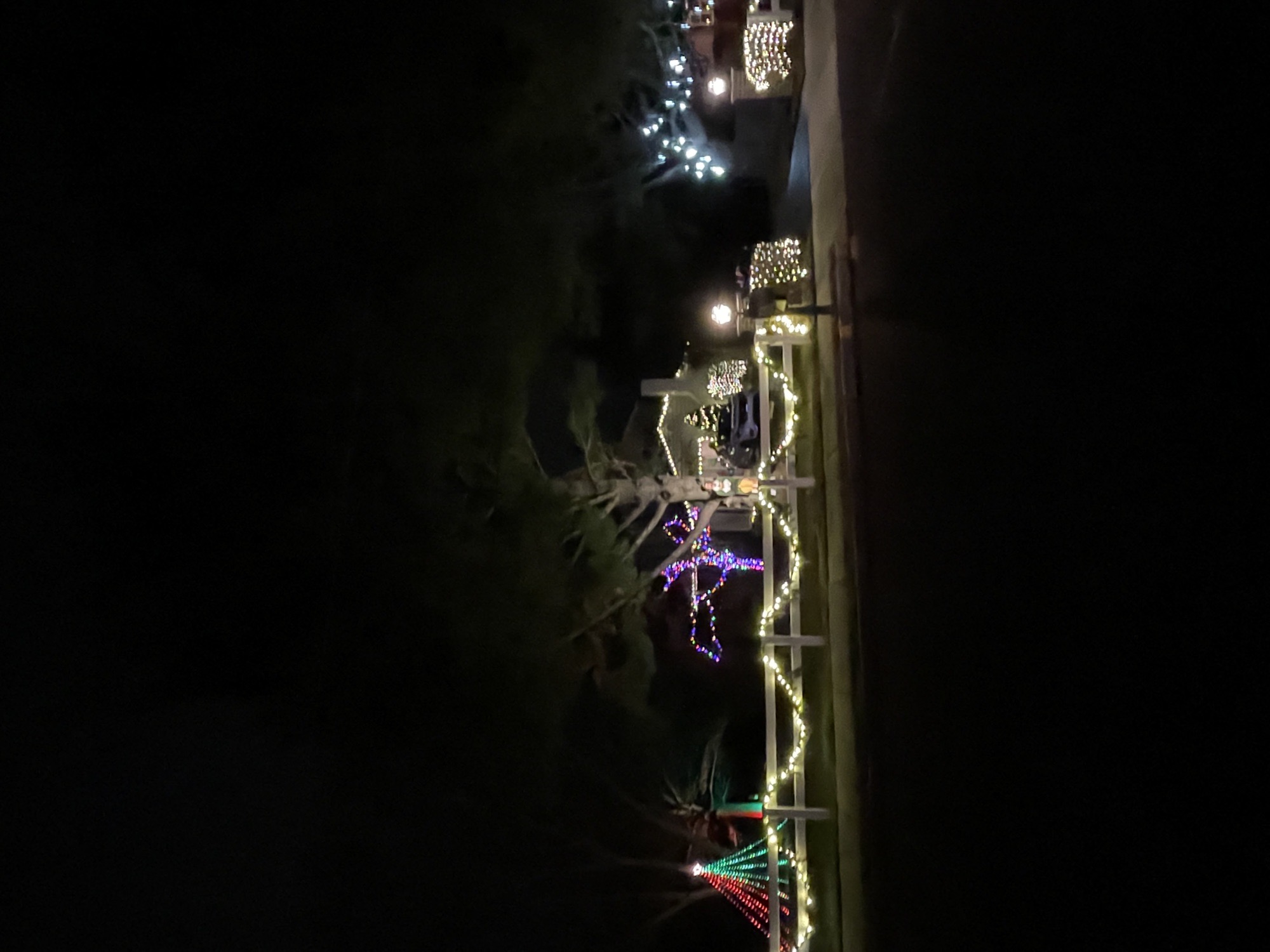 Paul family lights, Christmas lights in Blyden Square, PA (photo 2)