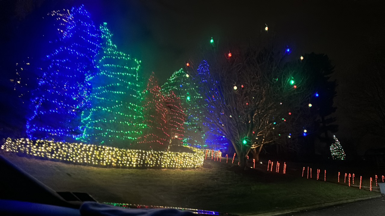 Beautiful House With Trees, Christmas lights in Media, PA (photo 1)
