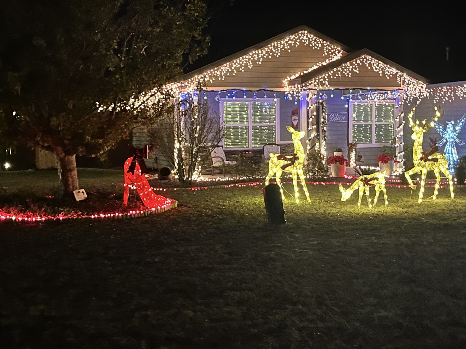Classic Noel, Christmas lights in Newberry, FL (photo 1)