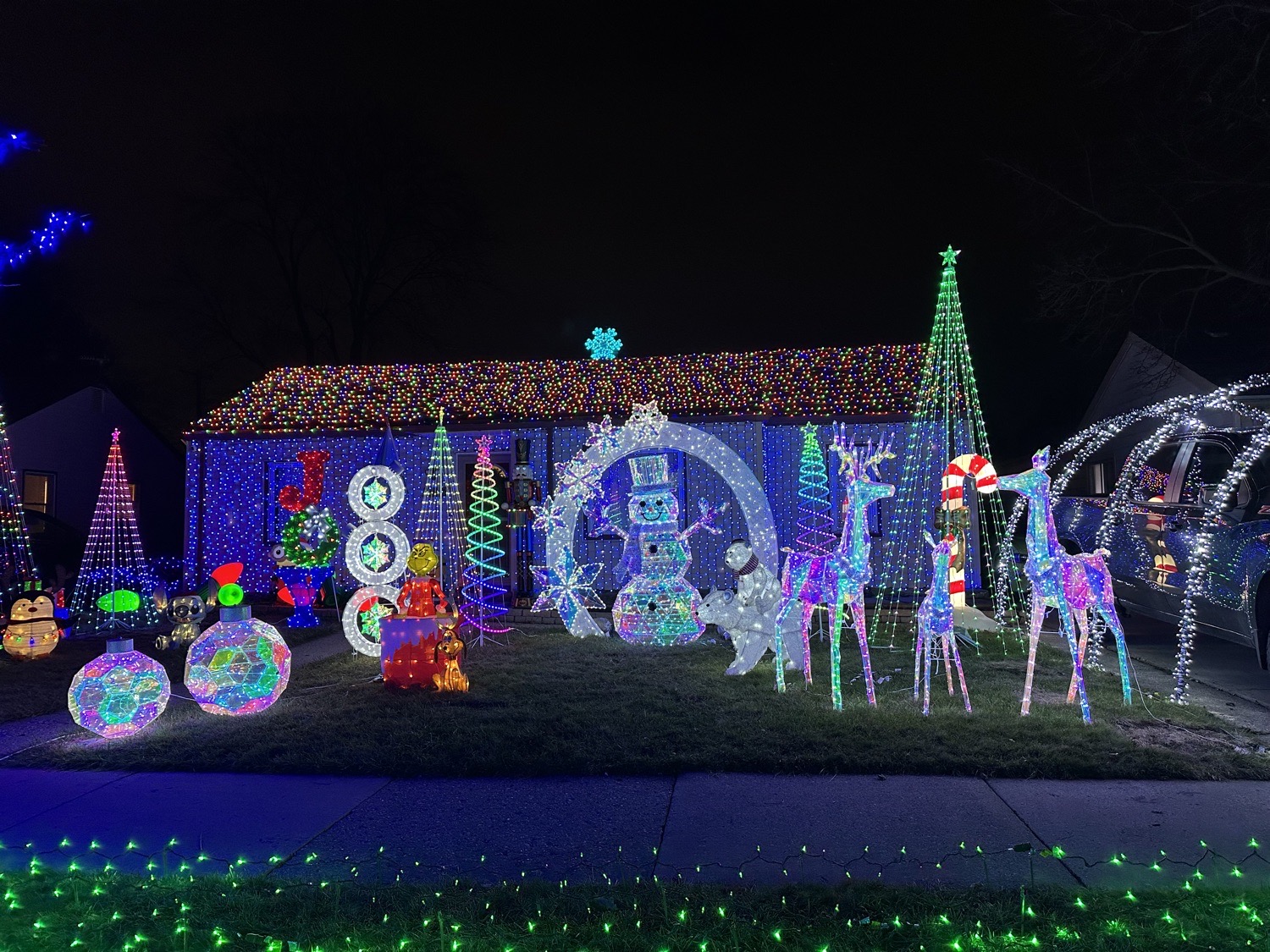 Christmas on Irene St, Christmas lights in Southgate, MI (photo 2)