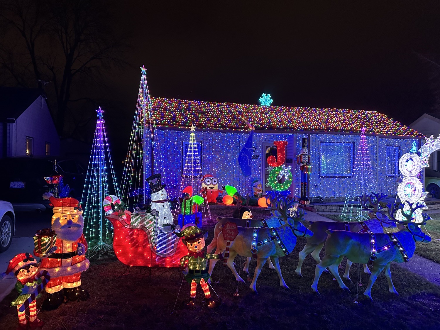 Christmas on Irene St, Christmas lights in Southgate, MI (photo 3)