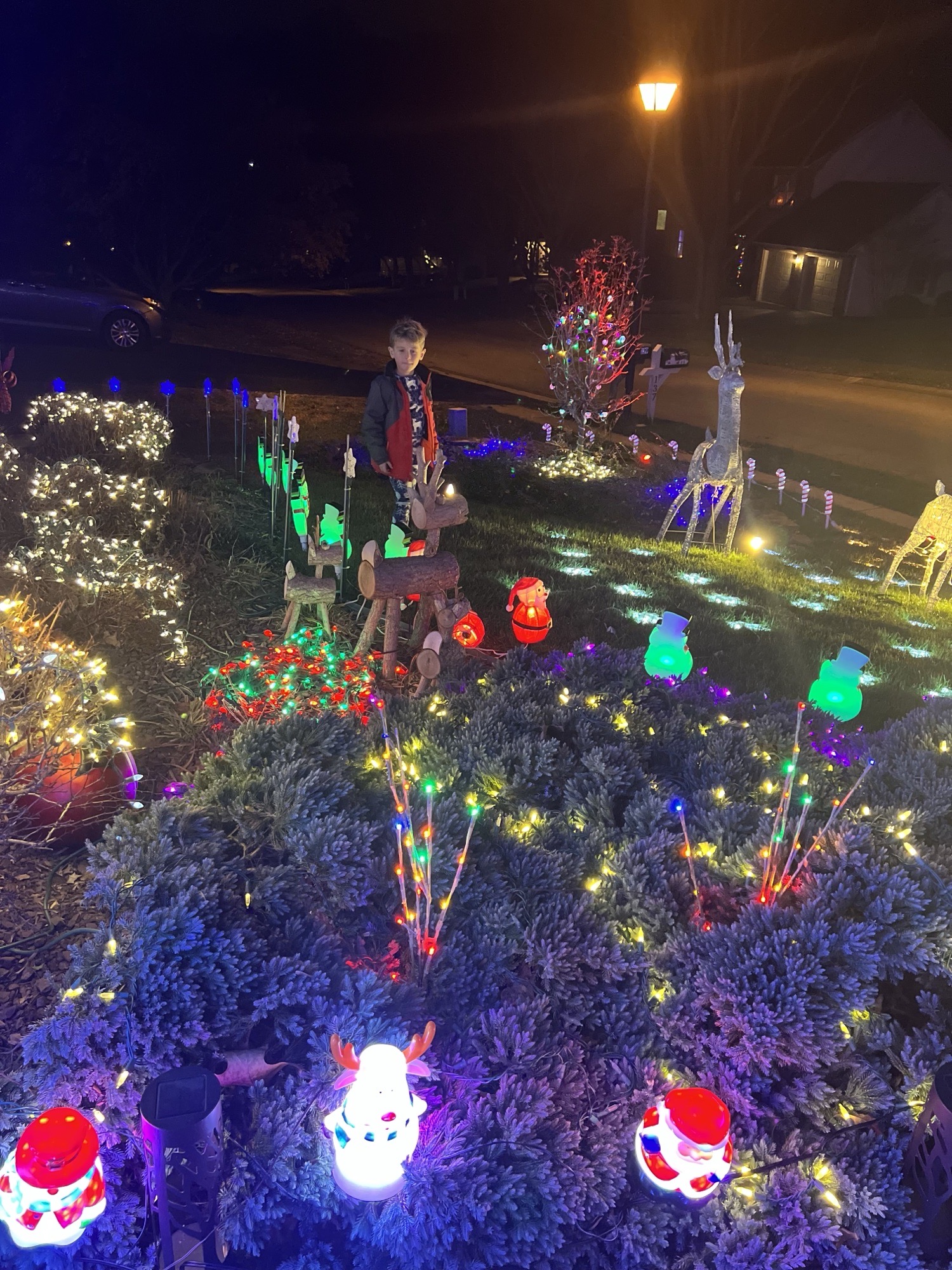 Fairhill Drive Christmas lights, Christmas lights in Wilmington, DE (photo 2)