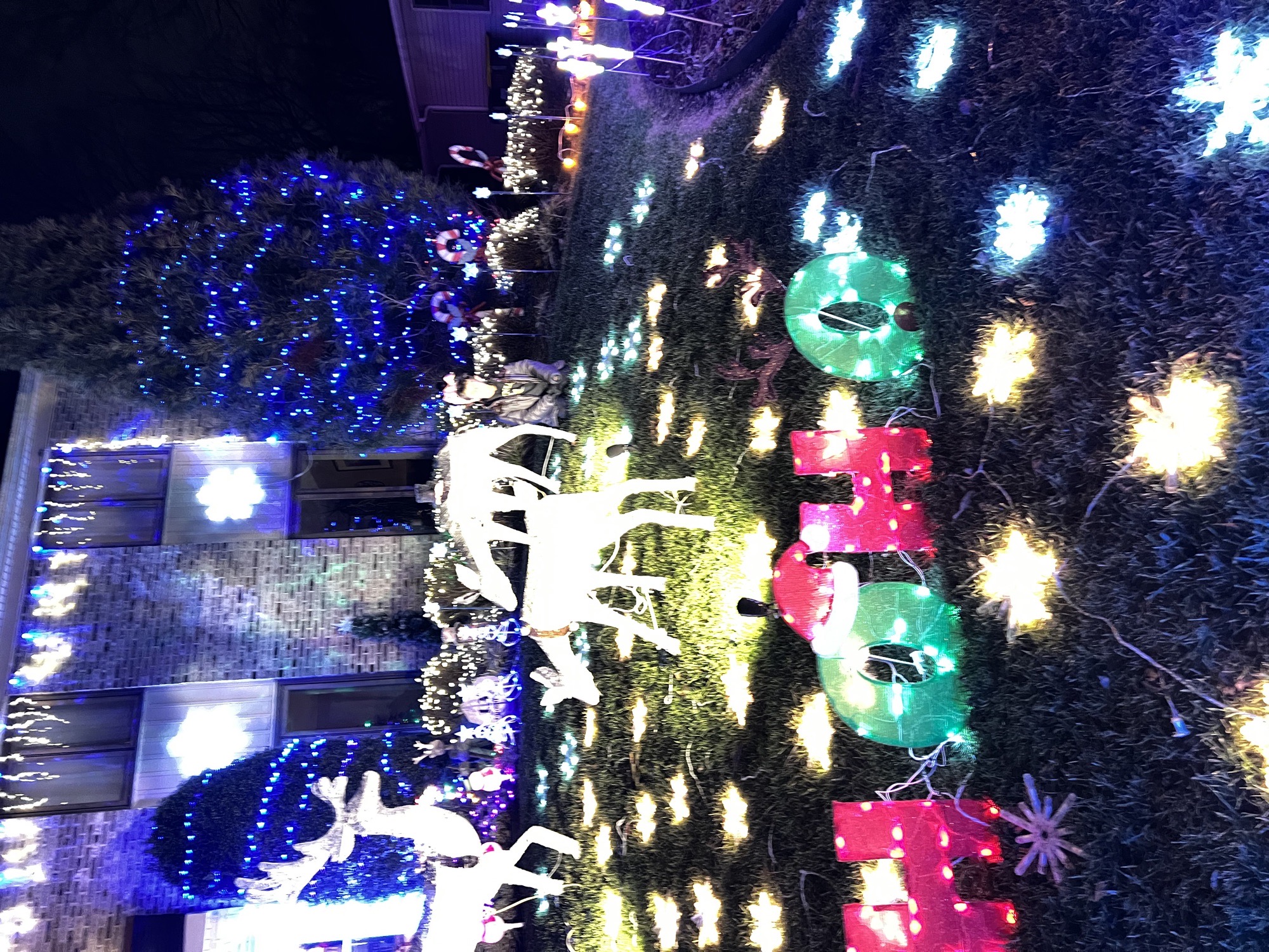 Fairhill Drive Christmas lights, Christmas lights in Wilmington, DE (photo 3)