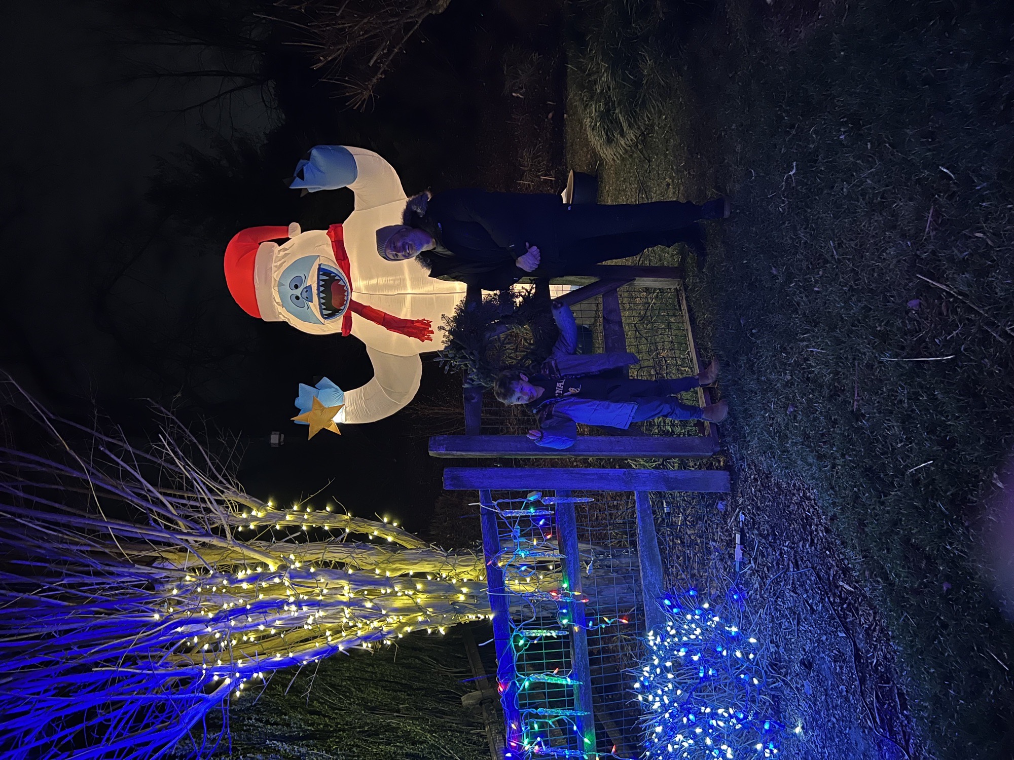 Fairhill Drive Christmas lights, Christmas lights in Wilmington, DE (photo 4)
