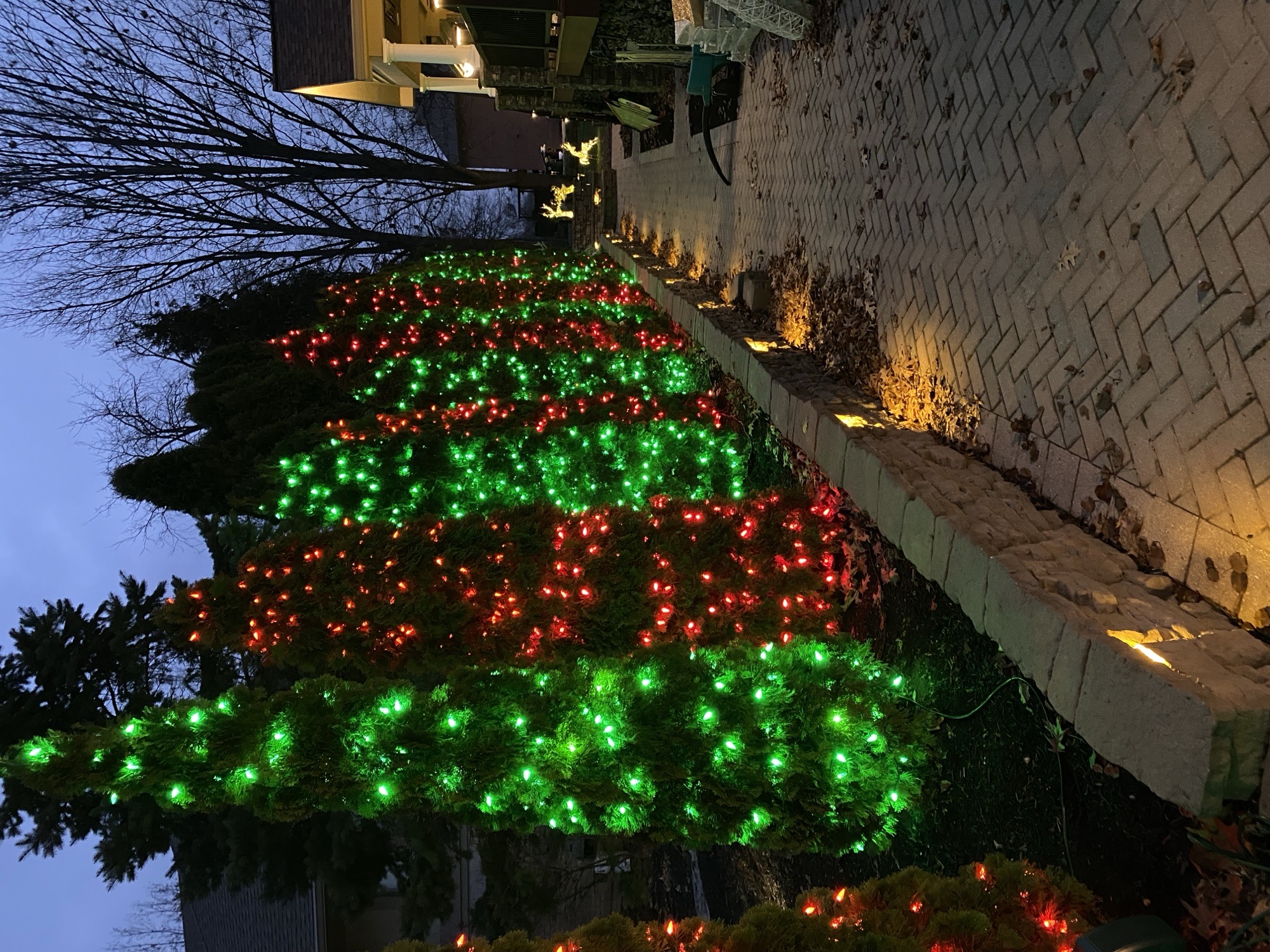 Winters Home, Christmas lights in Dayton, OH (photo 2)