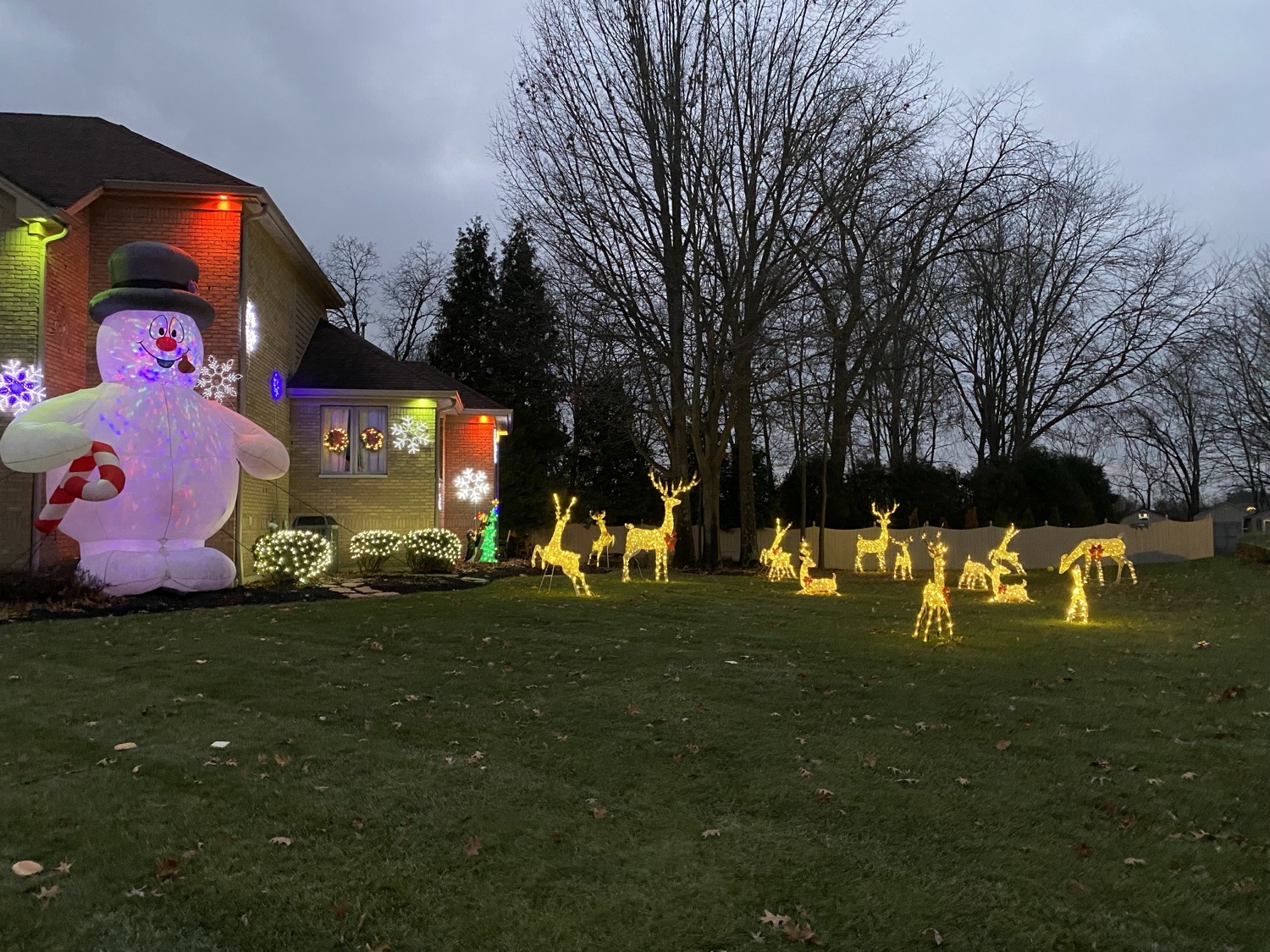 Winters Home, Christmas lights in Dayton, OH (photo 4)
