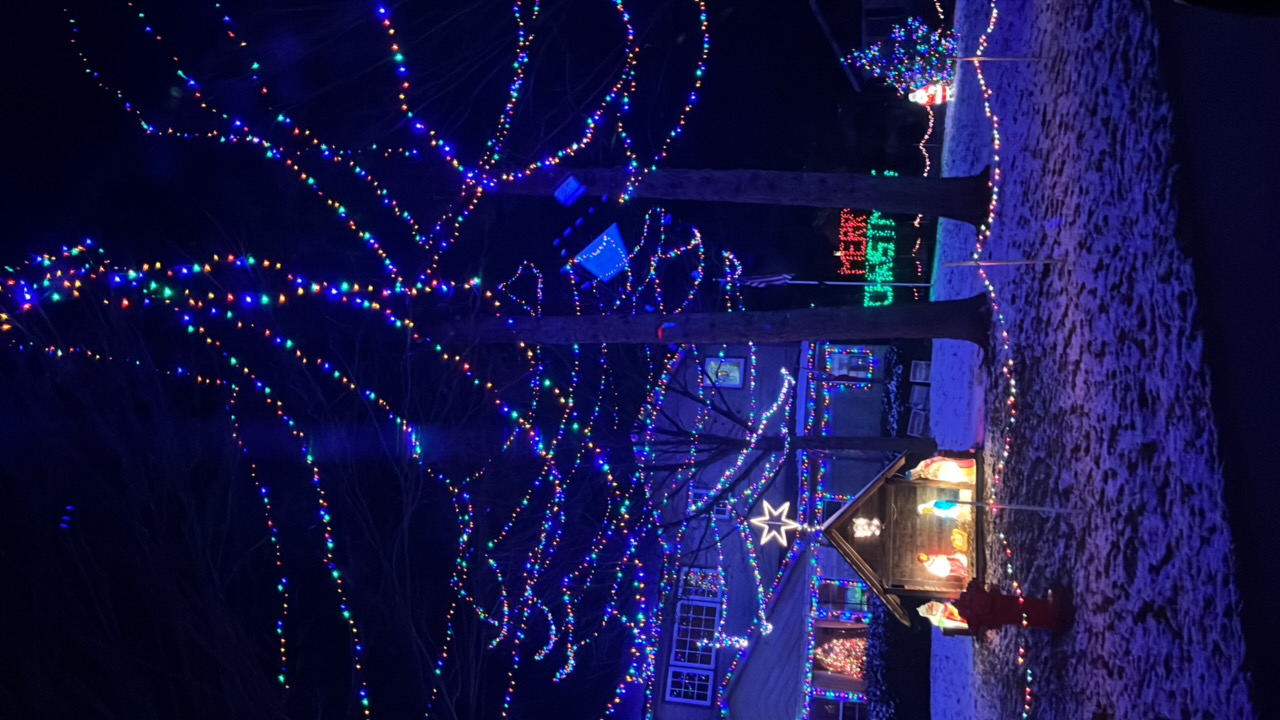 Flying Lights, Christmas lights in Palos Heights, IL (photo 2)