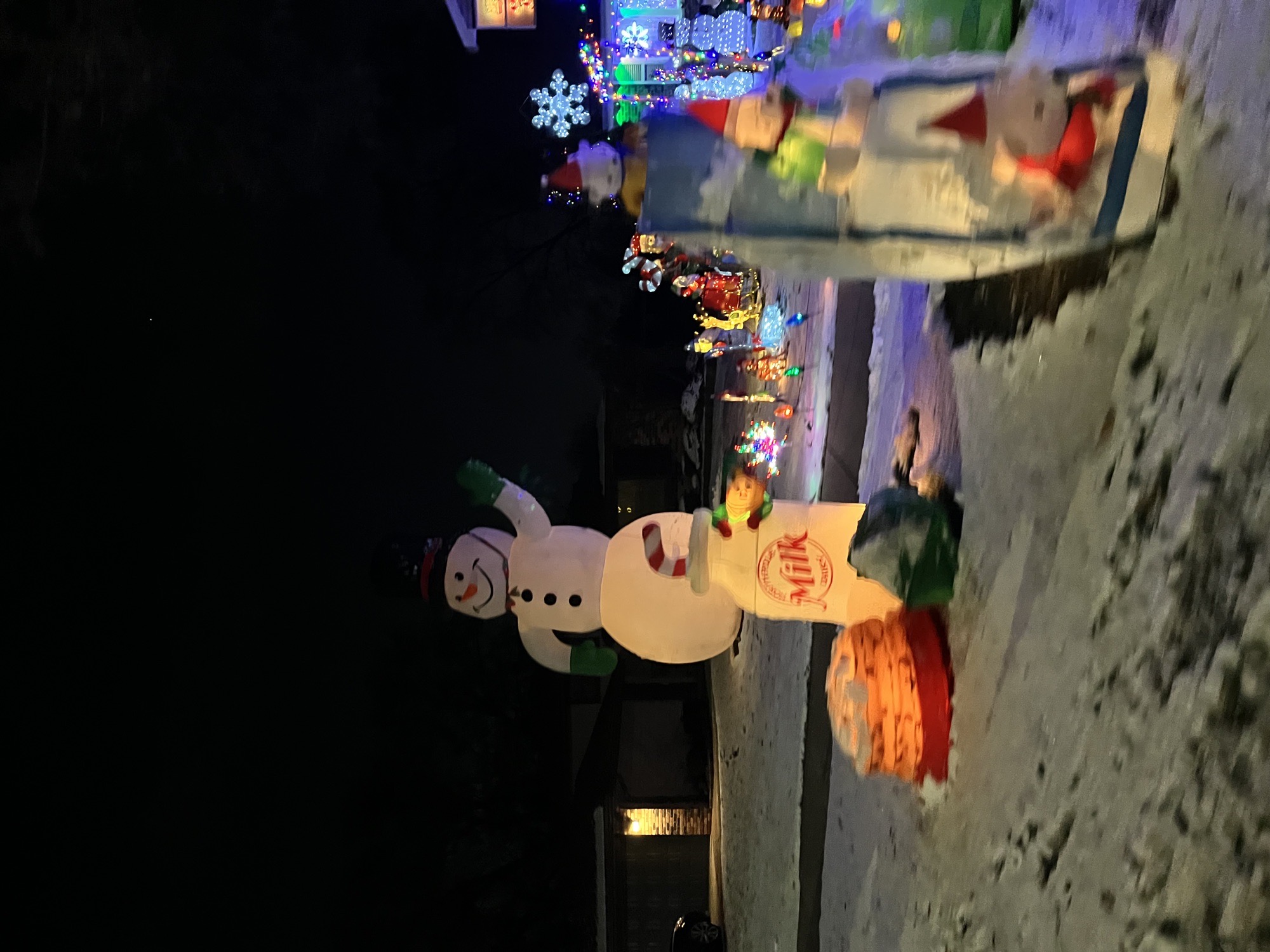 Christmas Mania, Christmas lights in Orland Park, IL (photo 2)