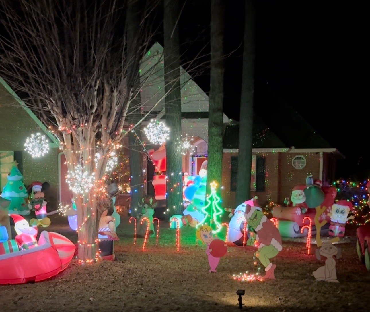 Lots Of Characters!, Christmas lights in Perry, GA (photo 1)