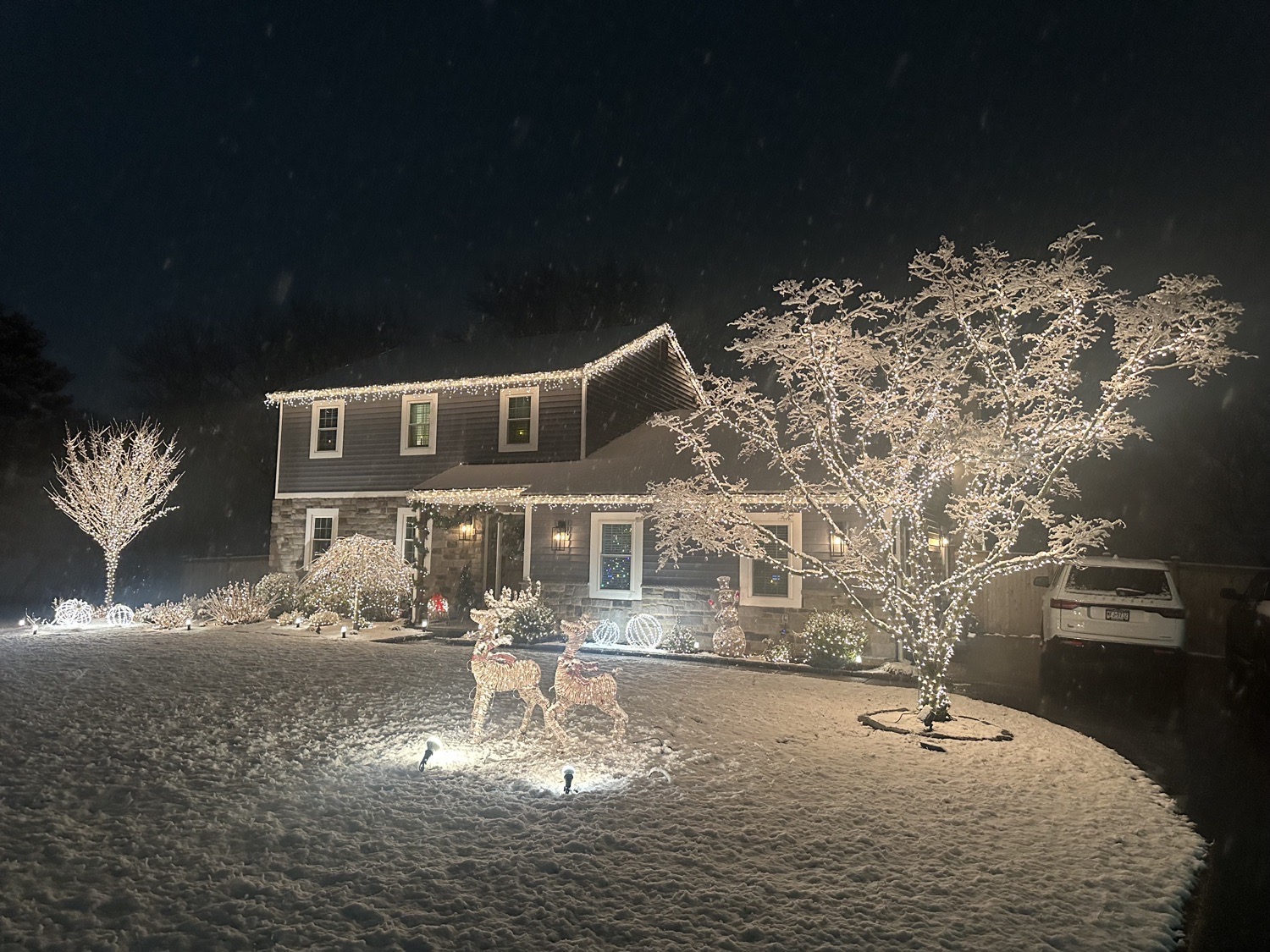 Warm & Elegant, Christmas lights in Plymouth Meeting, PA (photo 1)