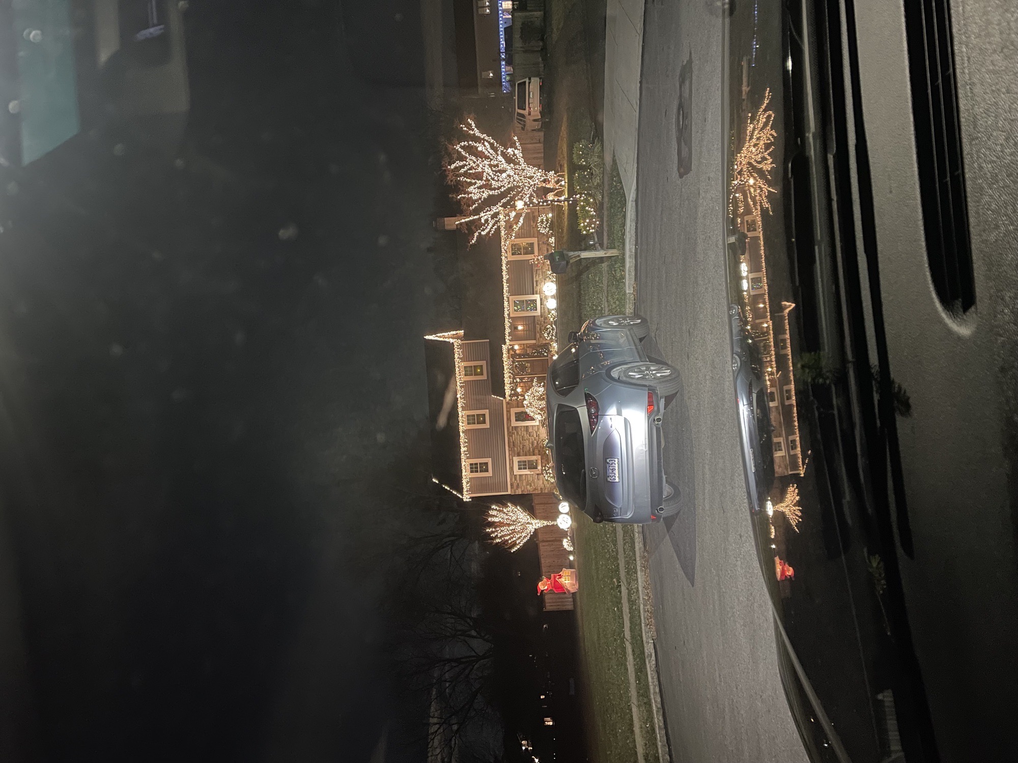 Warm & Elegant, Christmas lights in Plymouth Meeting, PA (photo 2)