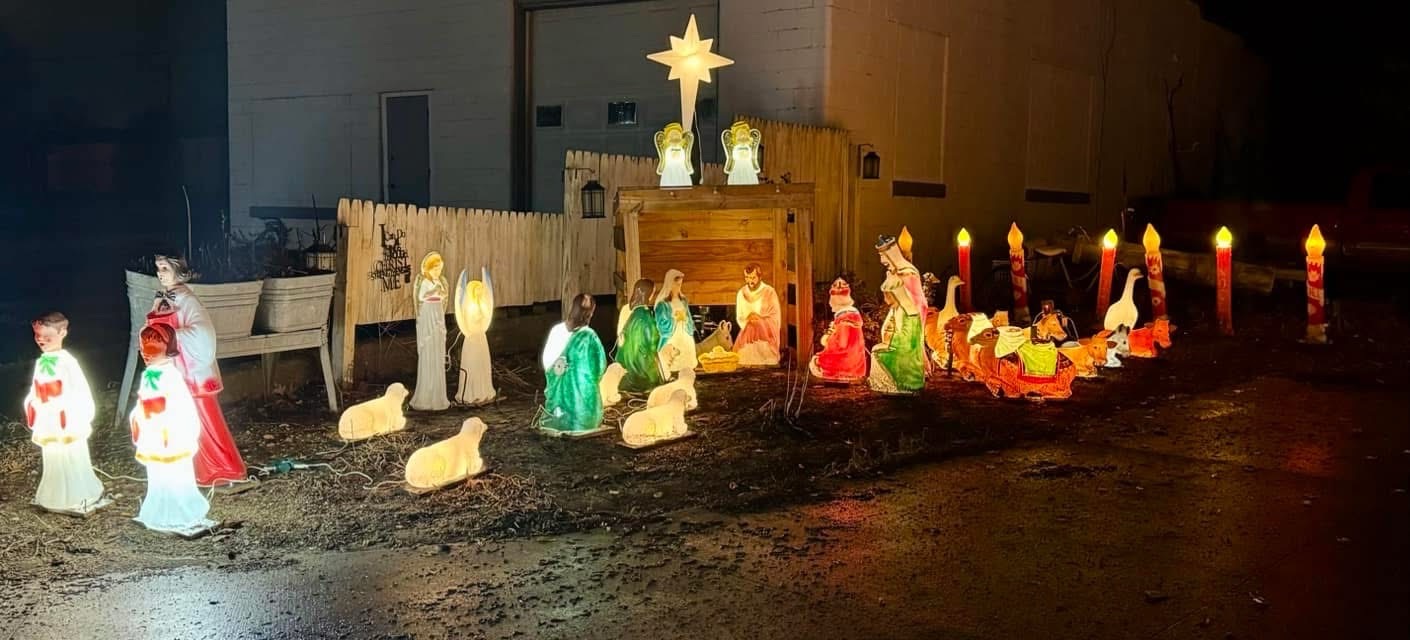Penguins, Reindeer, and Snowmen-Oh My!, Christmas lights in Freelandville, IN (photo 2)