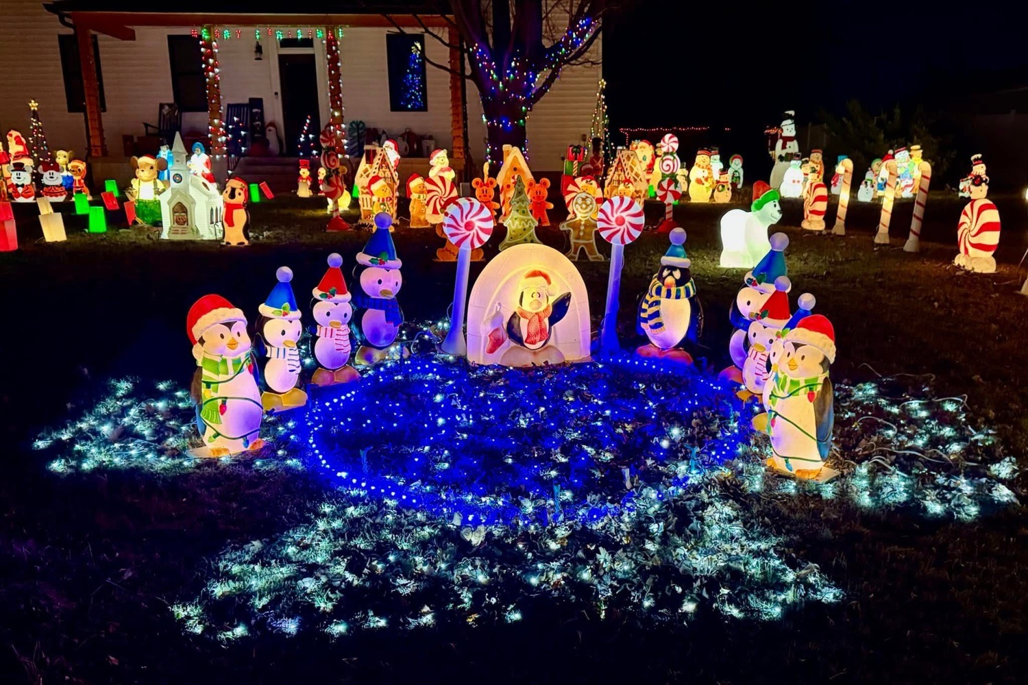 Penguins, Reindeer, and Snowmen-Oh My!, Christmas lights in Freelandville, IN (photo 3)