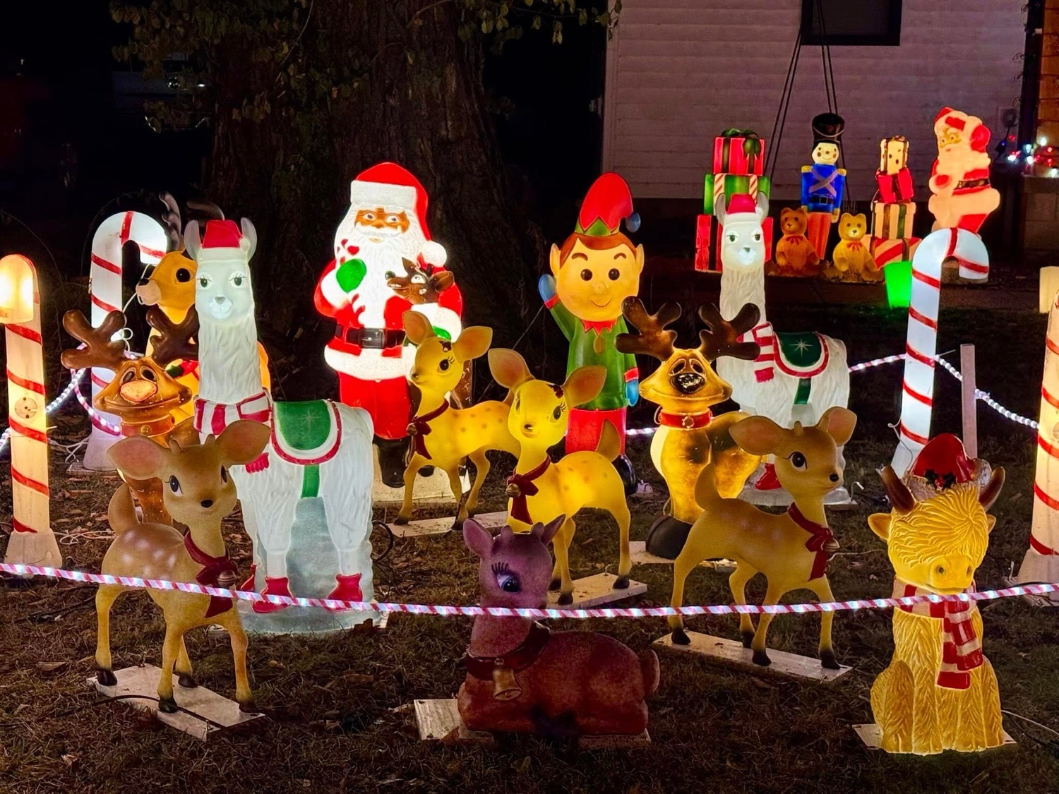 Penguins, Reindeer, and Snowmen-Oh My!, Christmas lights in Freelandville, IN (photo 4)