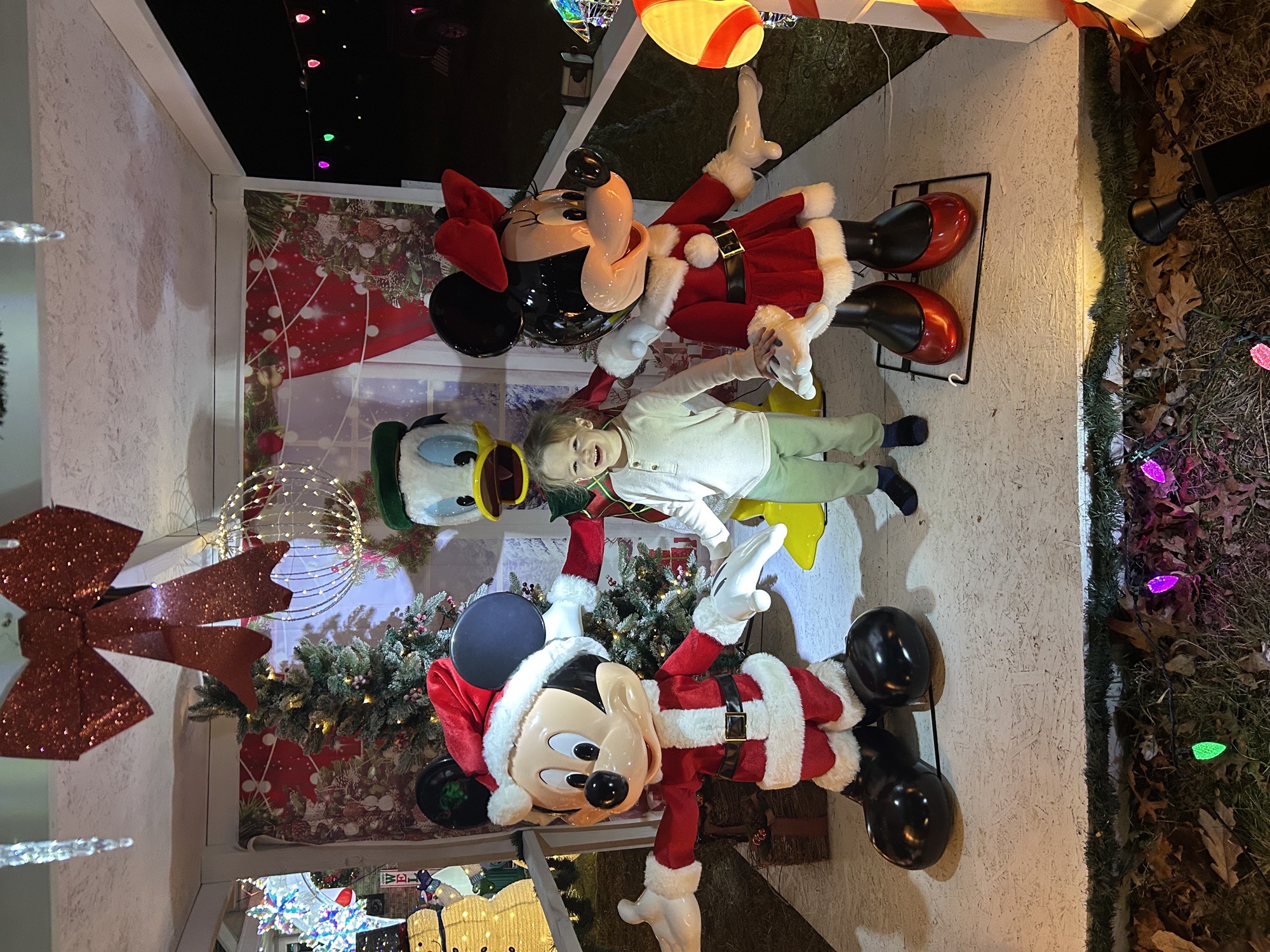 Mickeys Christmas Shack, Christmas lights in Aston, PA (photo 1)