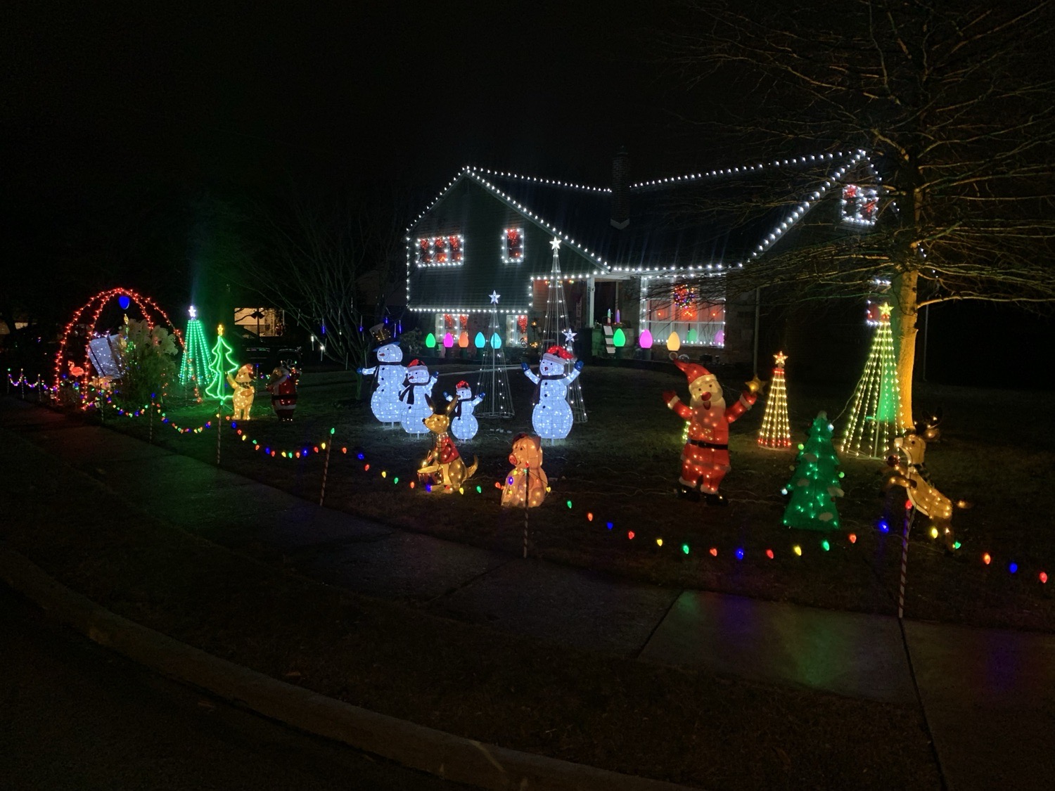A White Christmas Magical Musical, Christmas lights in Broomall, PA (photo 1)