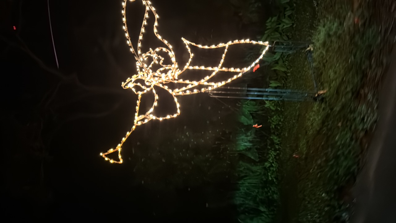 Holiday Fantasy Of Lights, Christmas lights in Coral Springs, FL (photo 1)