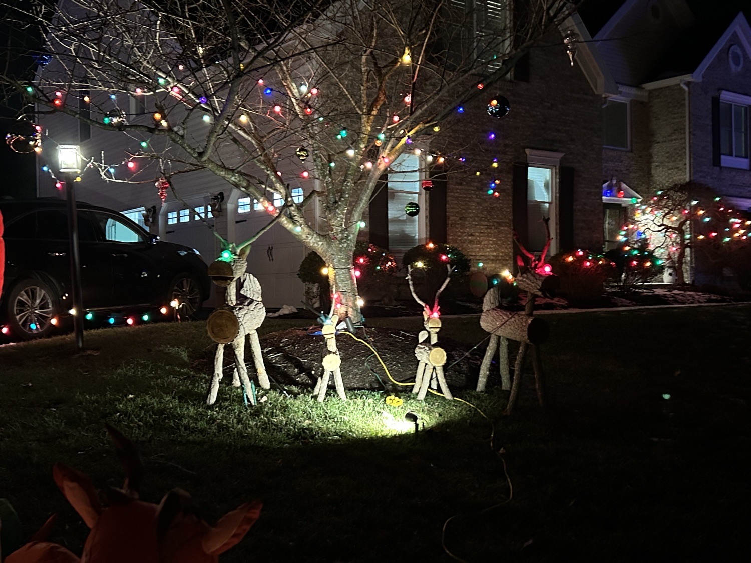 Christmas Classics, Christmas lights in Phoenixville, PA (photo 4)