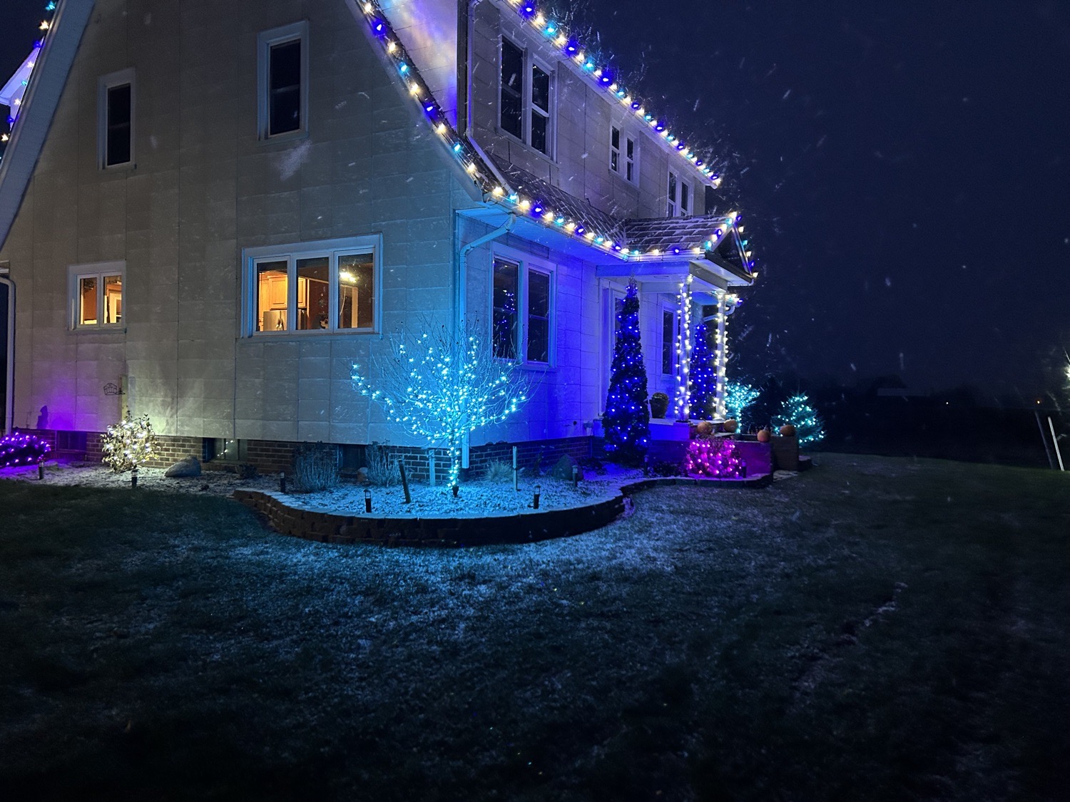 Sage, Christmas lights in Saginaw, MI (photo 1)