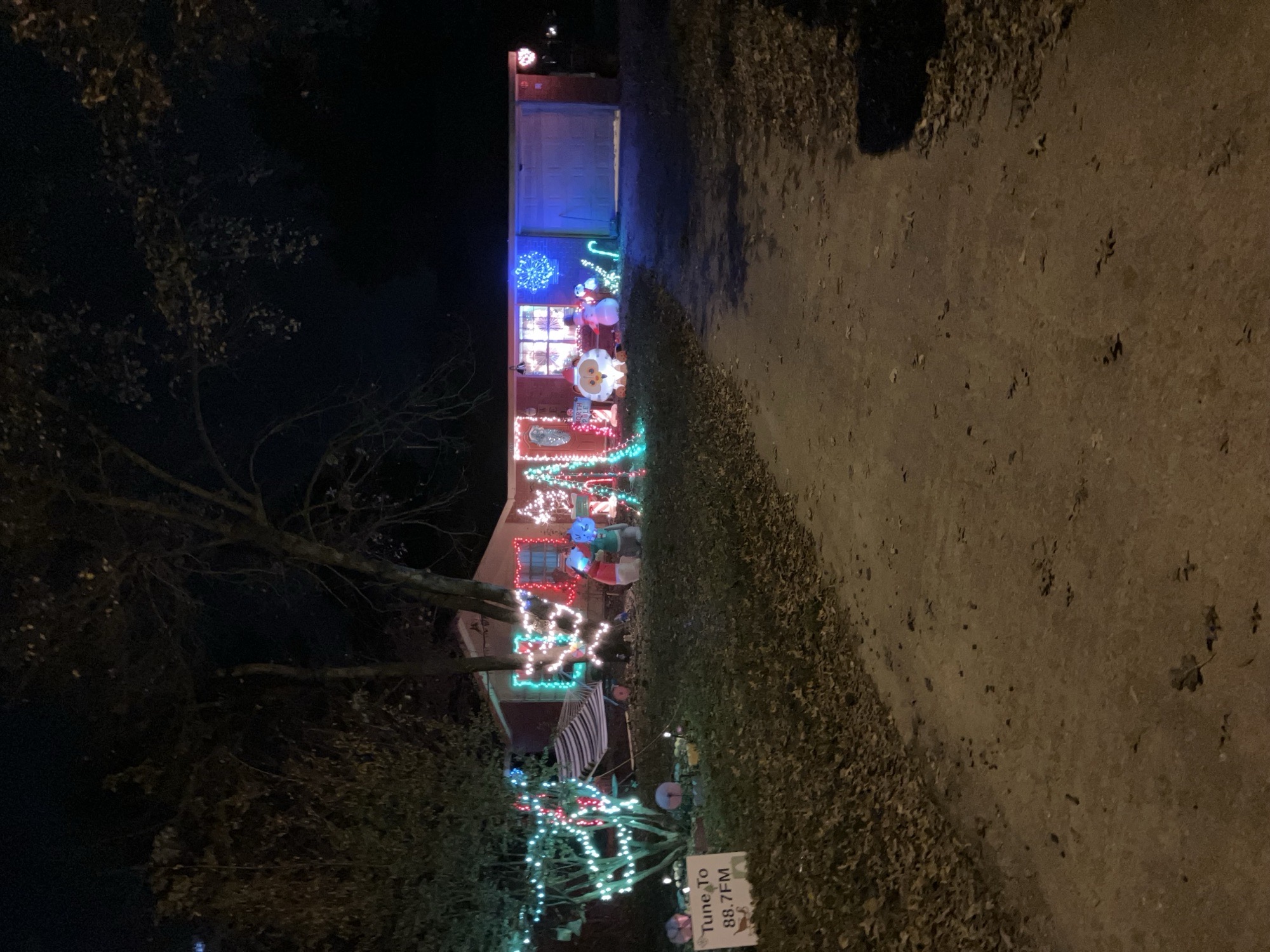 Lights On Sparkey, Christmas lights in Bay, AR (photo 1)