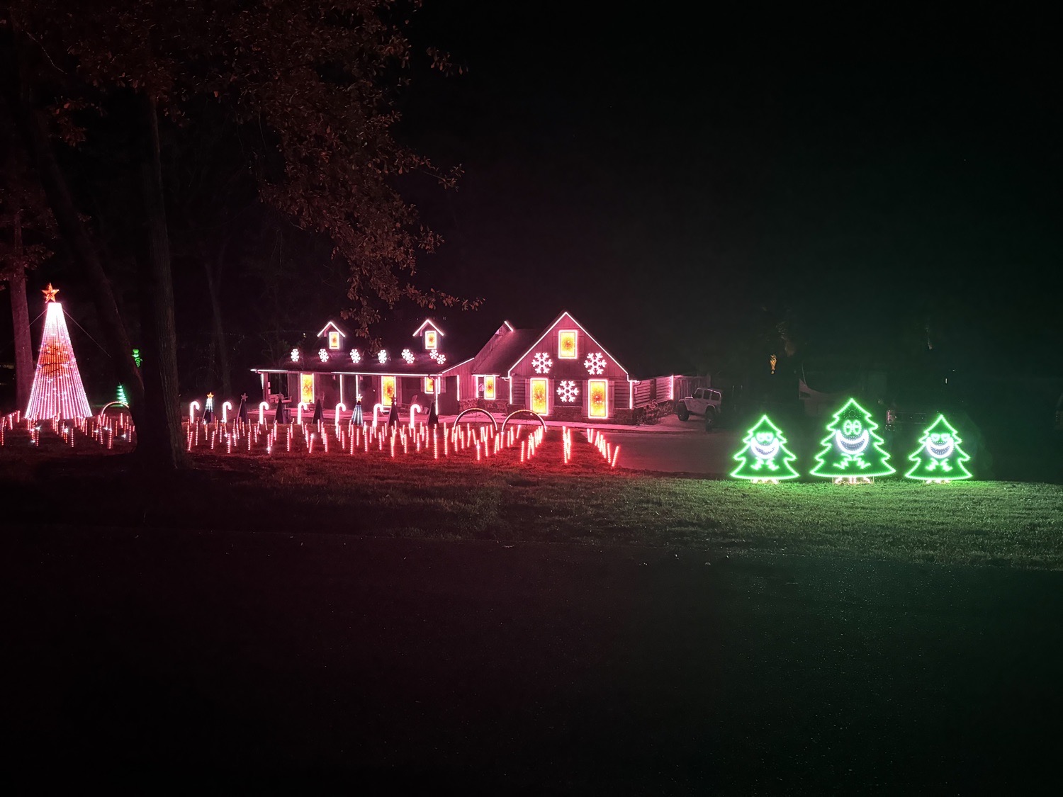 2 Dye 4 Light Show, Christmas lights in Brandon, MS (photo 1)