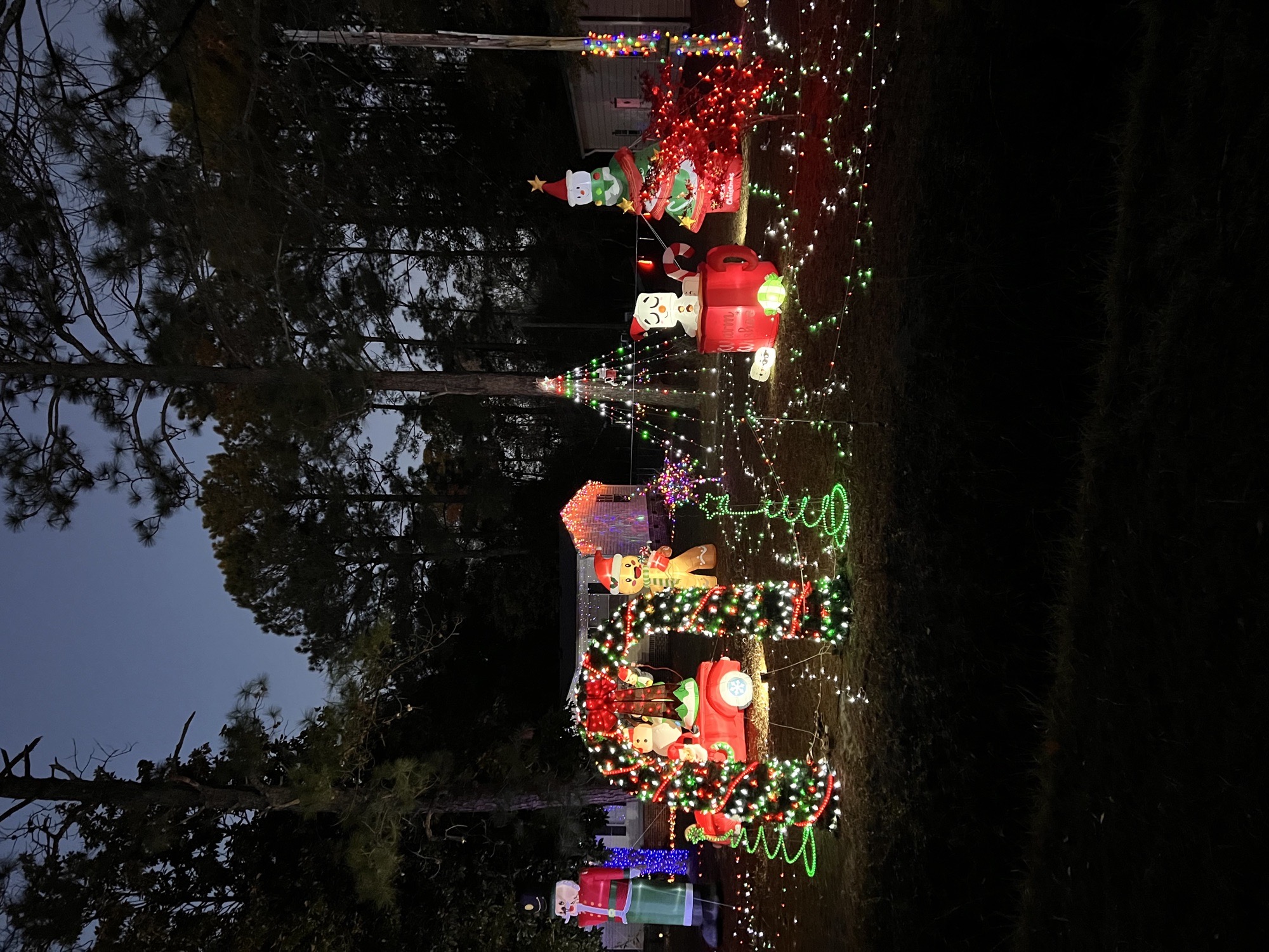 Turnerosa Christmas Spectacular, Christmas lights in Myrtle Beach, SC (photo 1)