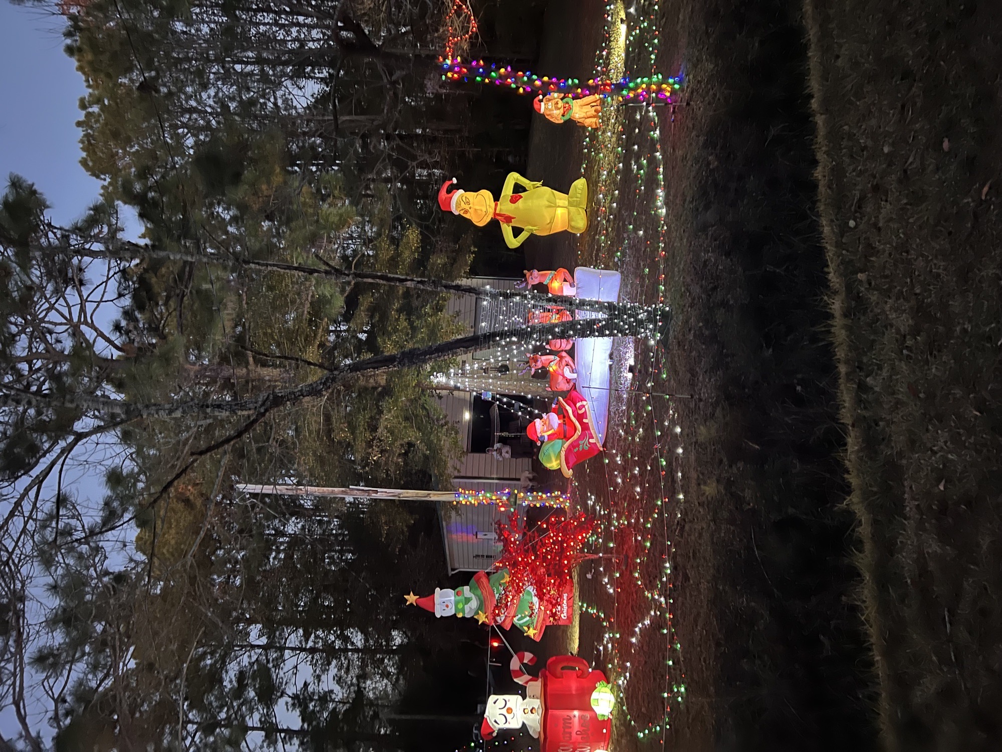 Turnerosa Christmas Spectacular, Christmas lights in Myrtle Beach, SC (photo 3)