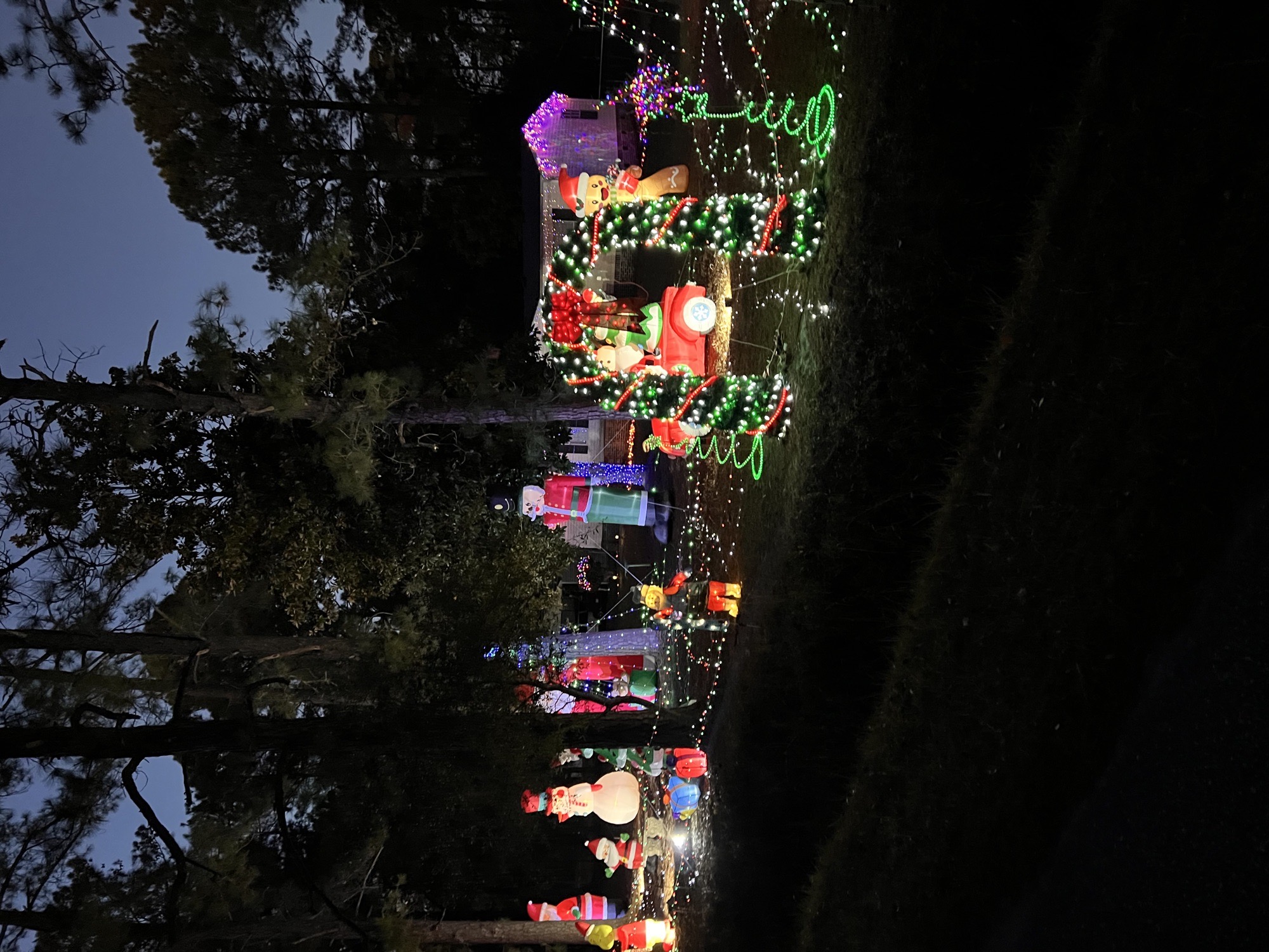 Turnerosa Christmas Spectacular, Christmas lights in Myrtle Beach, SC (photo 4)