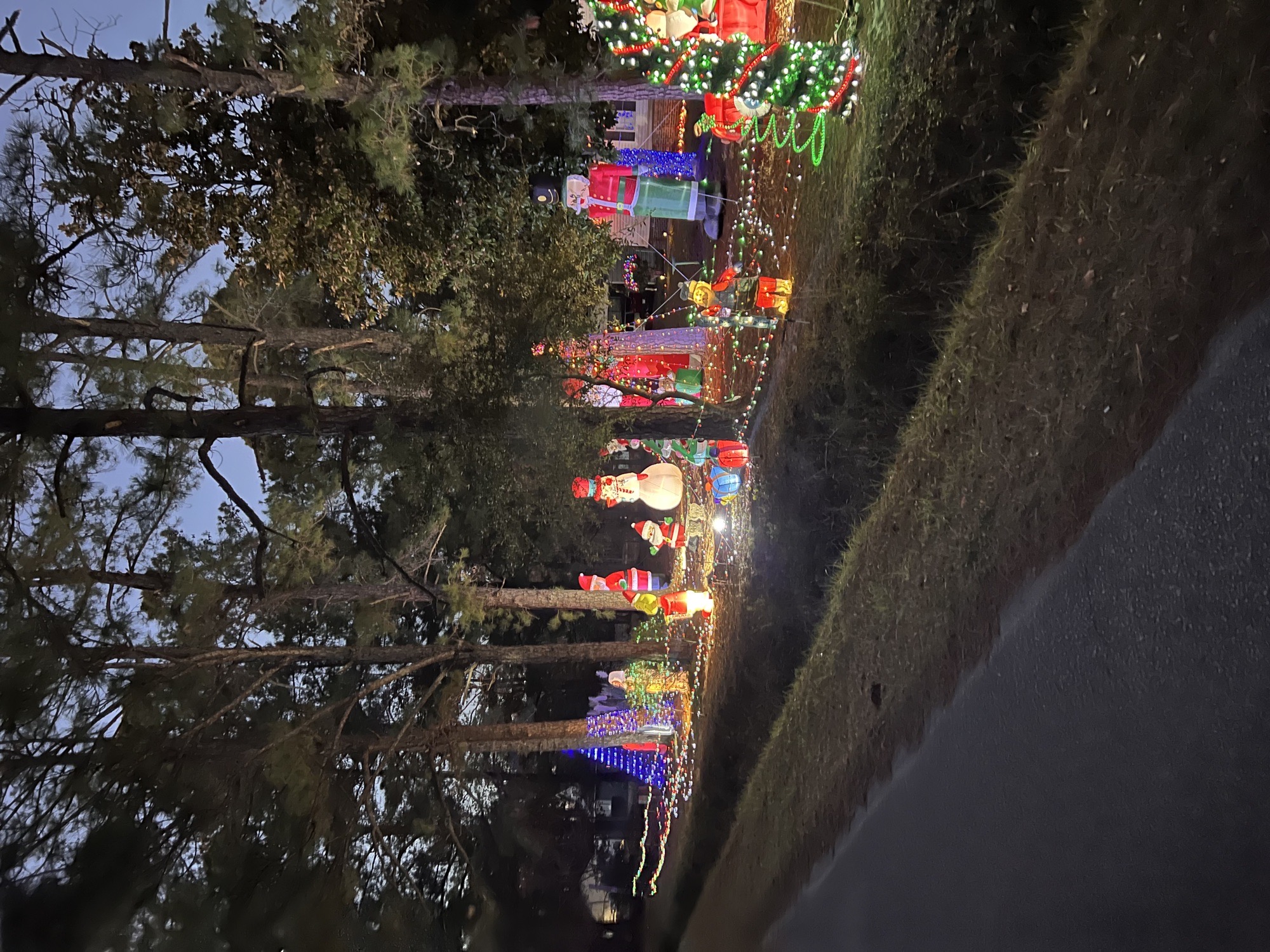 Turnerosa Christmas Spectacular, Christmas lights in Myrtle Beach, SC (photo 5)