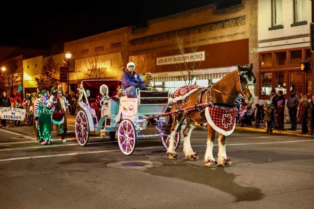 Carriage Ride To Look At Lights In Bayhill Springs subdivisi, Christmas lights in Boise, ID (photo 1)