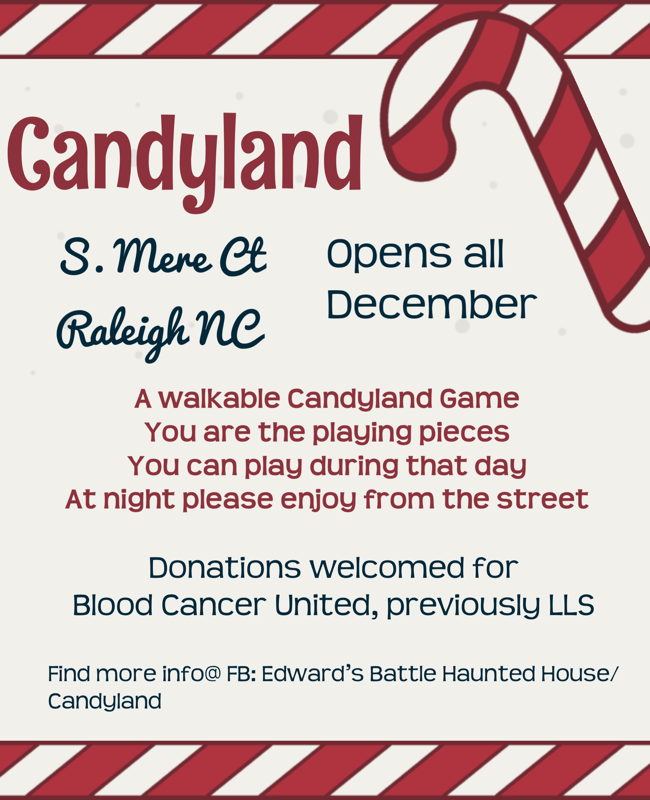 Candyland, Christmas lights in Raleigh, NC (photo 2)