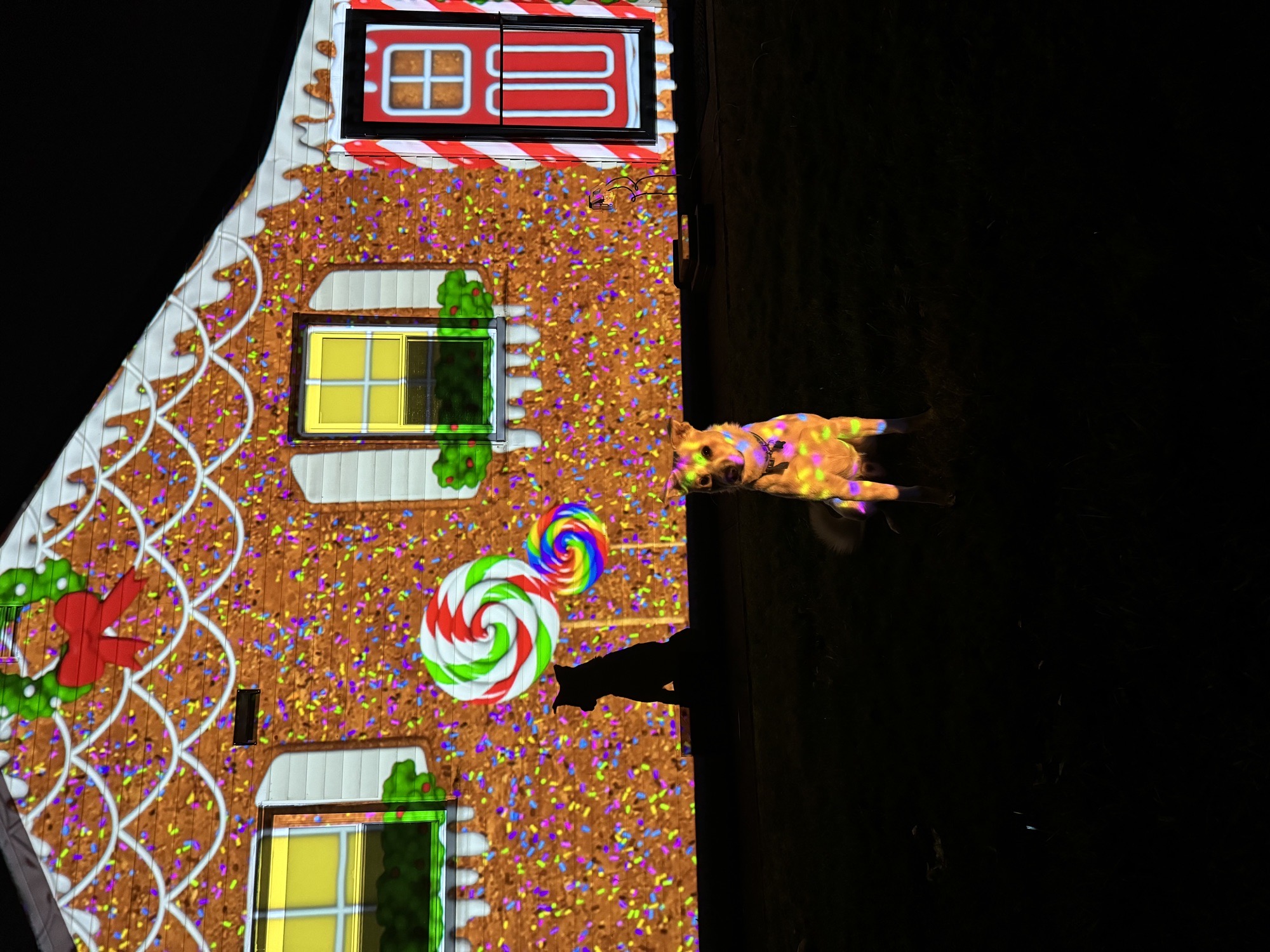 Ginger/Grinch Show, Christmas lights in King Of Prussia, PA (photo 1)
