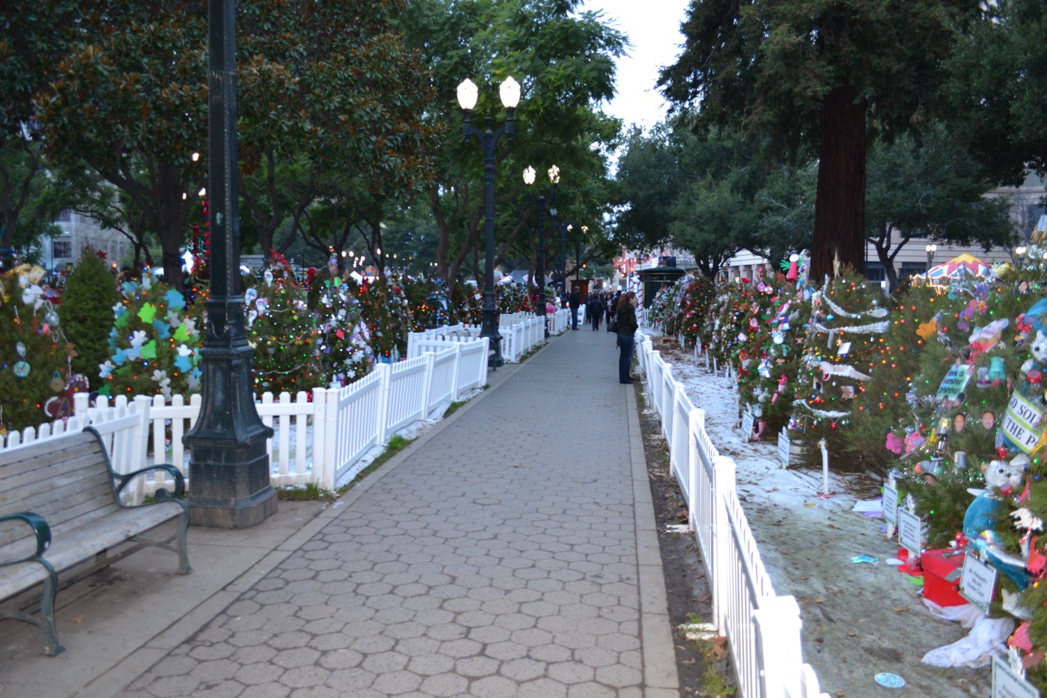 Christmas In The Park, Christmas lights in San Jose, CA (photo 2)