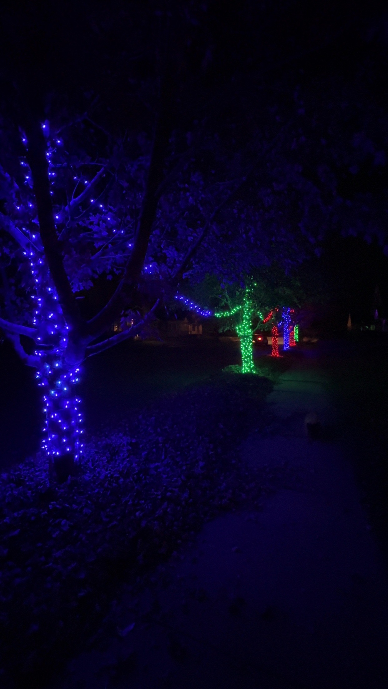 Slusses’ Holiday House, Christmas lights in Peru, IN (photo 2)