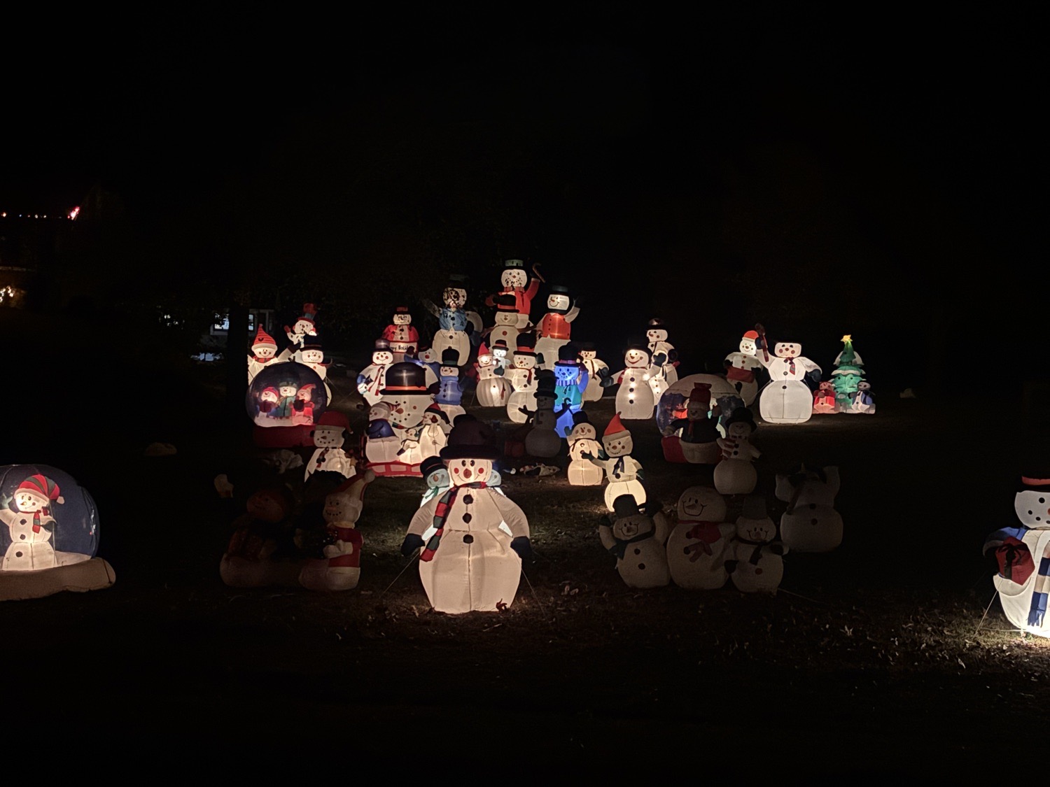 Spring Creek Lights!, Christmas lights in Summerfield, NC (photo 1)