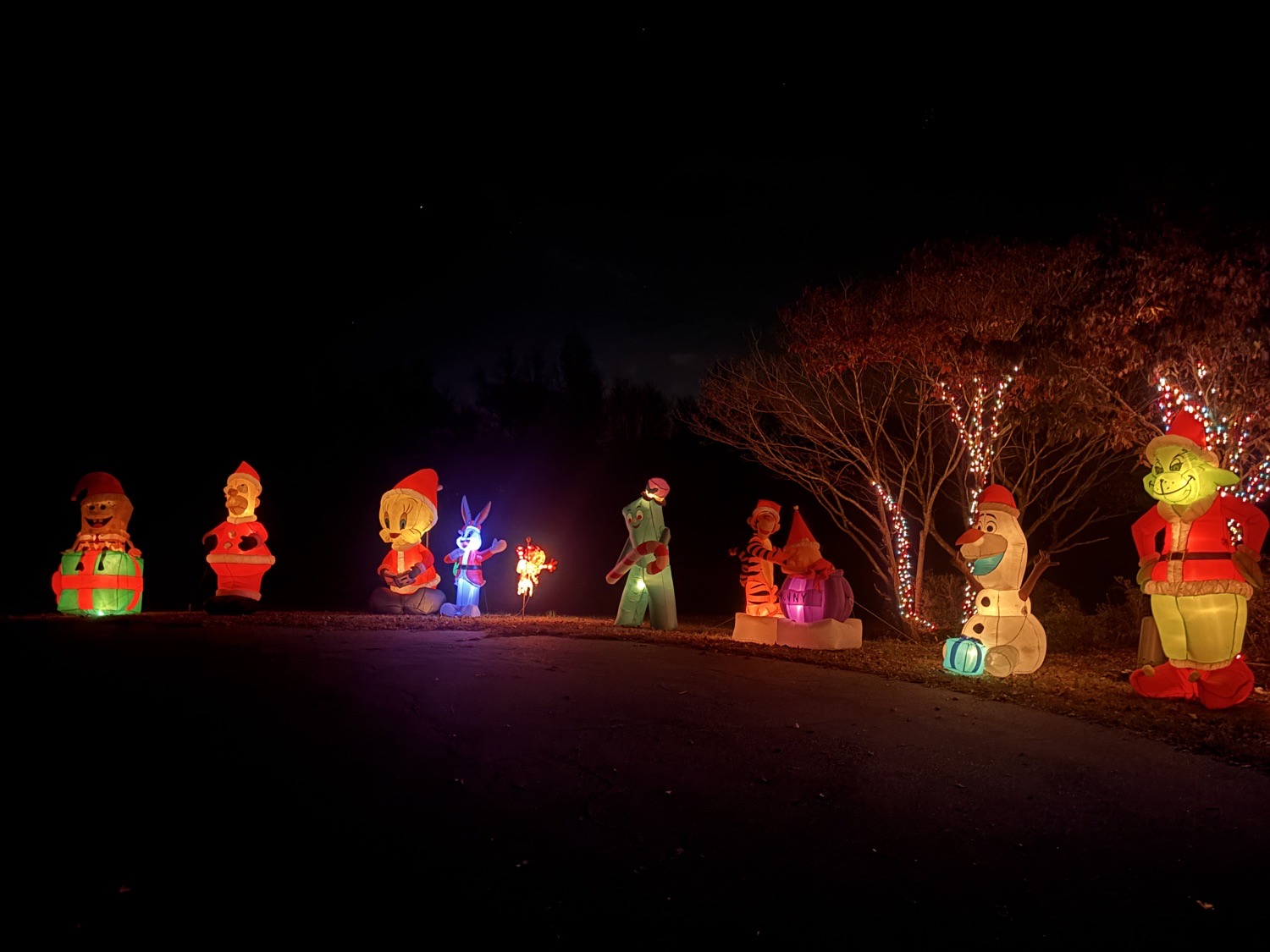 Spring Creek Lights!, Christmas lights in Summerfield, NC (photo 3)