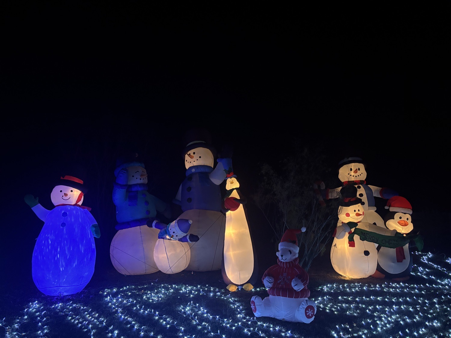 Spring Creek Lights!, Christmas lights in Summerfield, NC (photo 4)