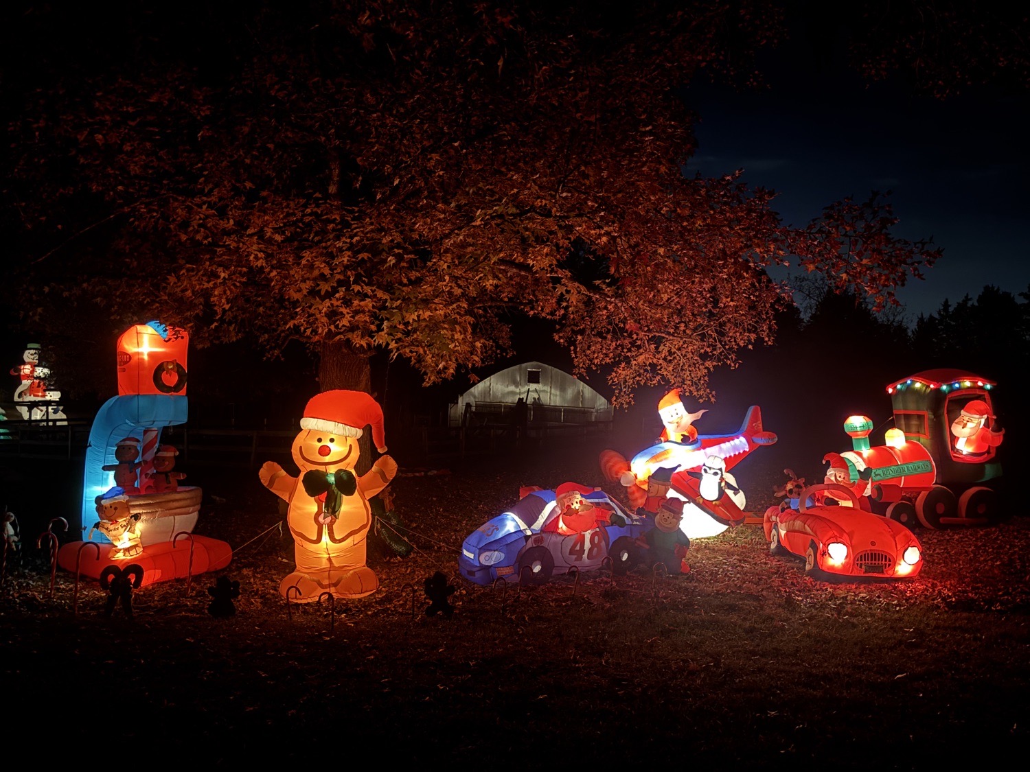 Spring Creek Lights!, Christmas lights in Summerfield, NC (photo 5)