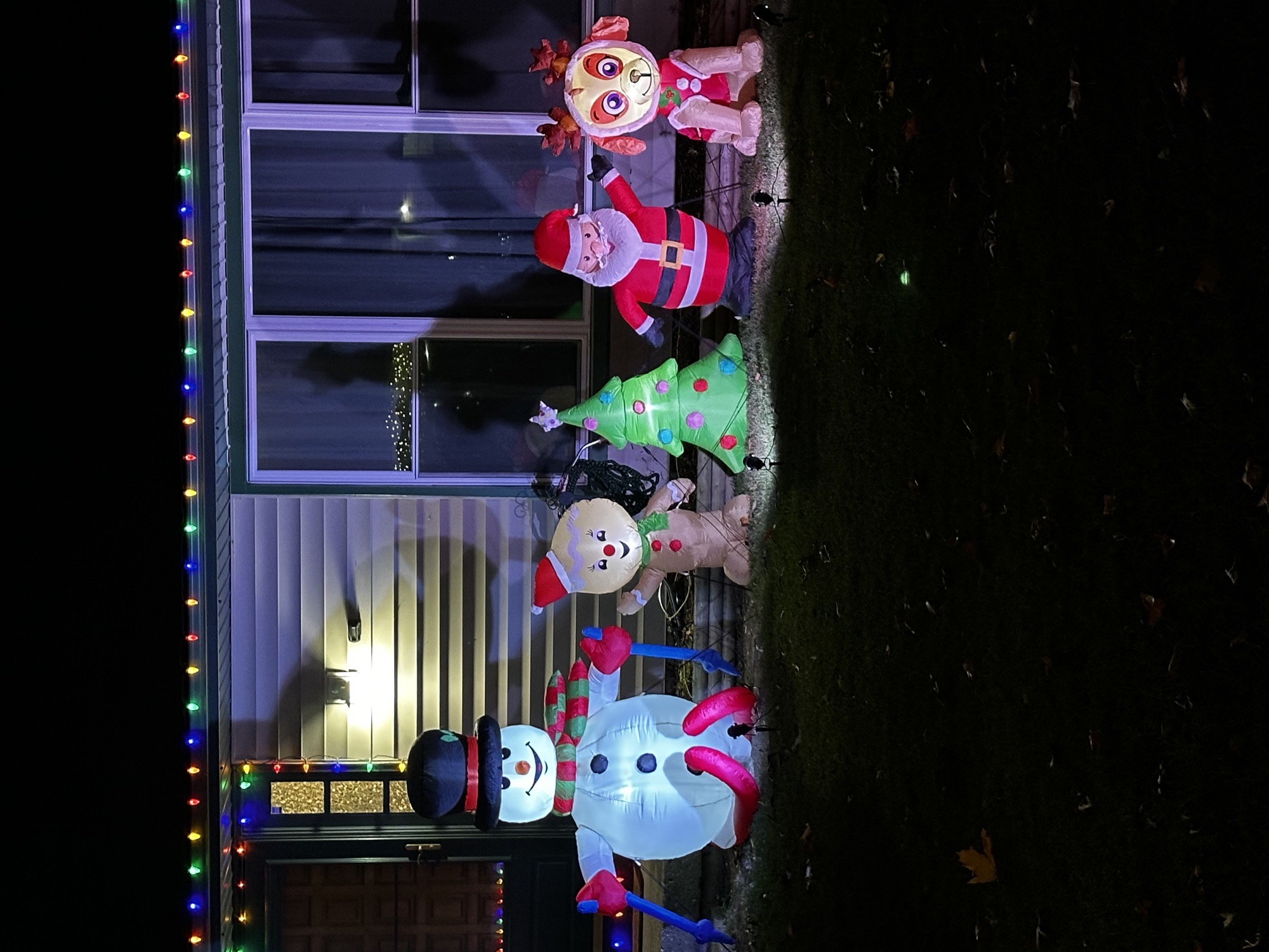 Hailey’s Christmas Guys, Christmas lights in Streamwood, IL (photo 1)
